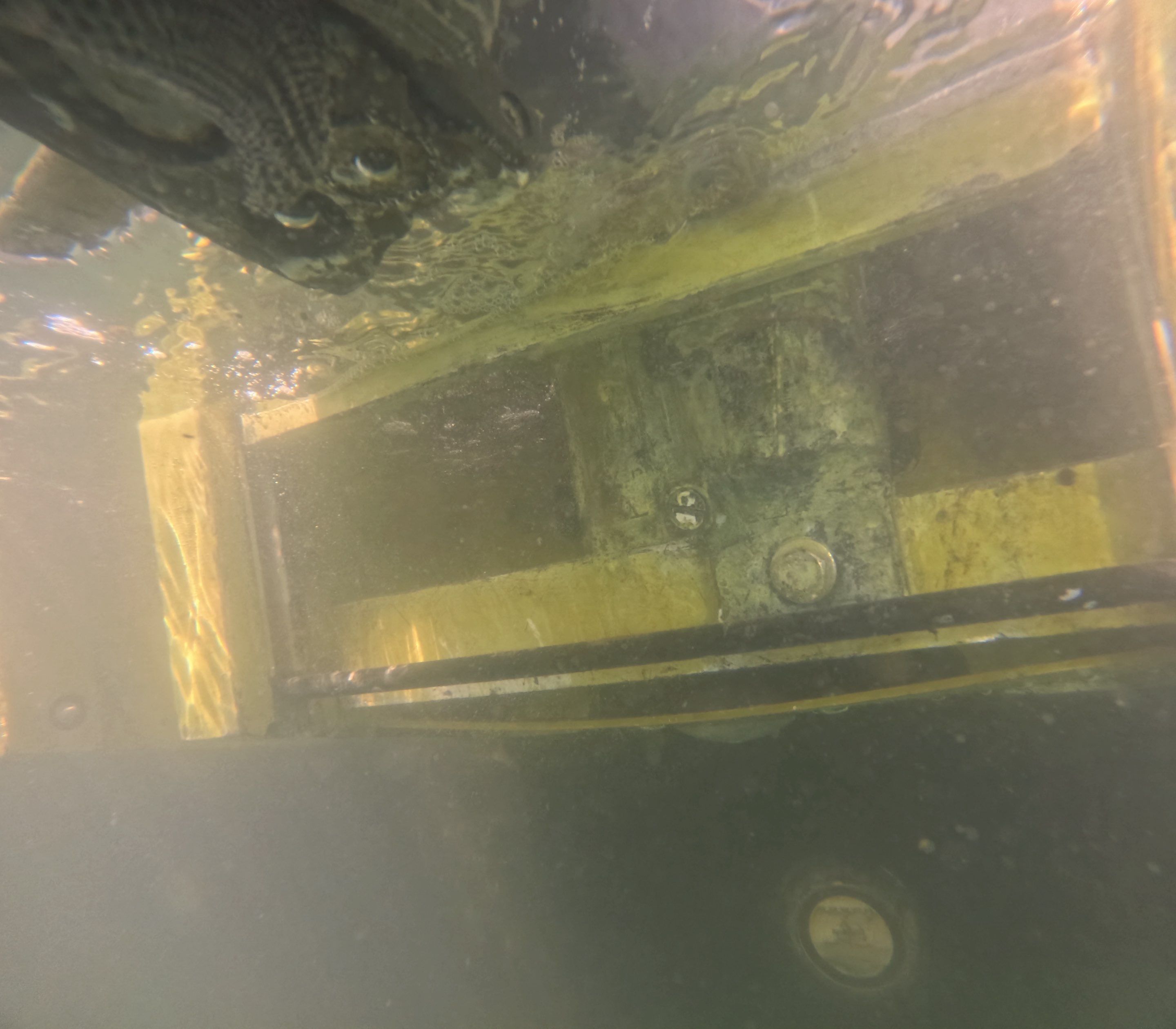 Project in Marco island, FL by Florida Hull Cleaning 