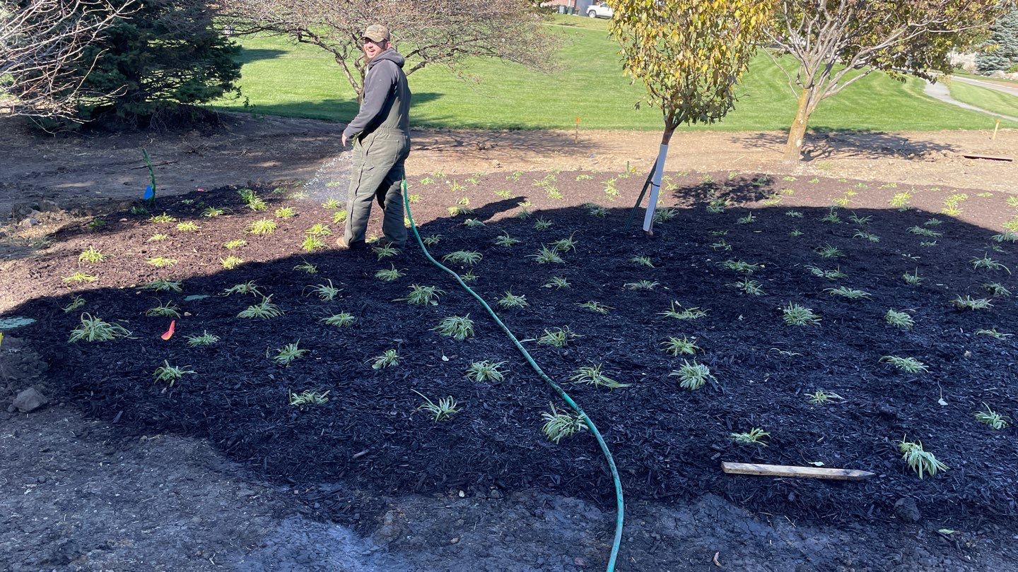 Landscape Bed Updates.  by New Horizon Landscapes