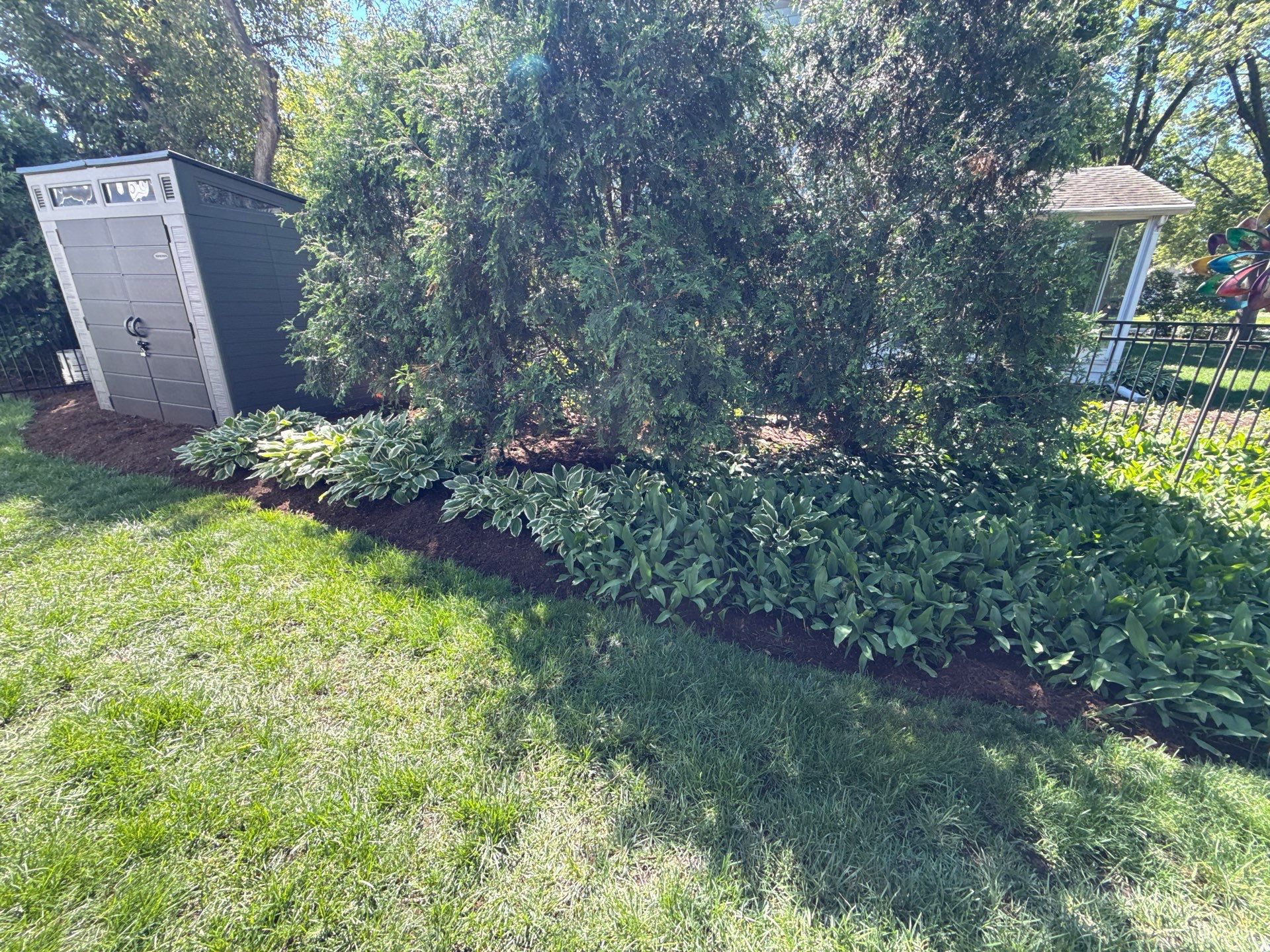 Lesley D. - Arlington Heights, IL by A&N 