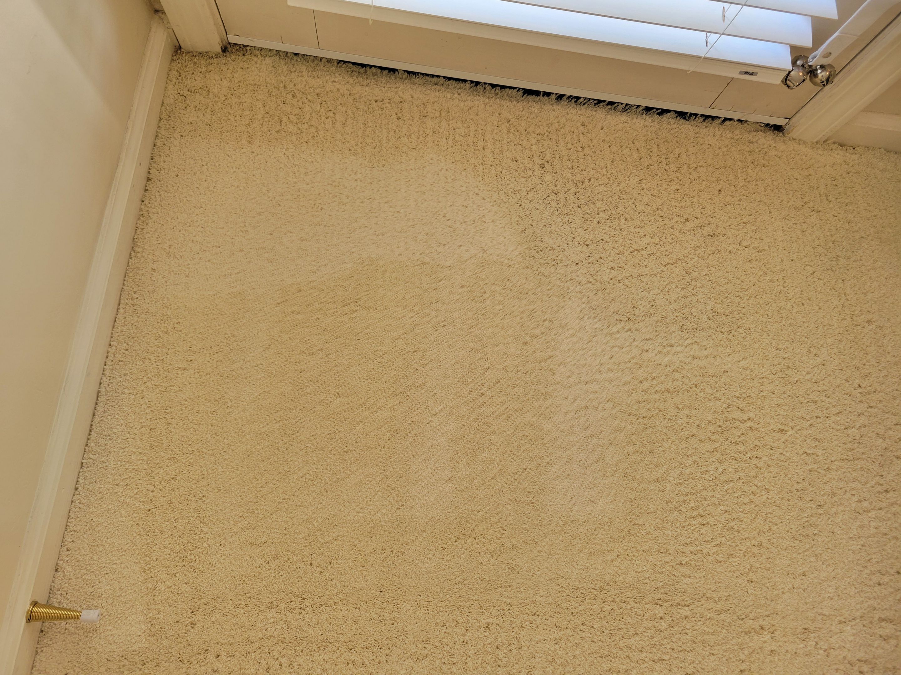 Highly Reactive, Jute Backed Carpet by Ardent Carpet Restore LLC