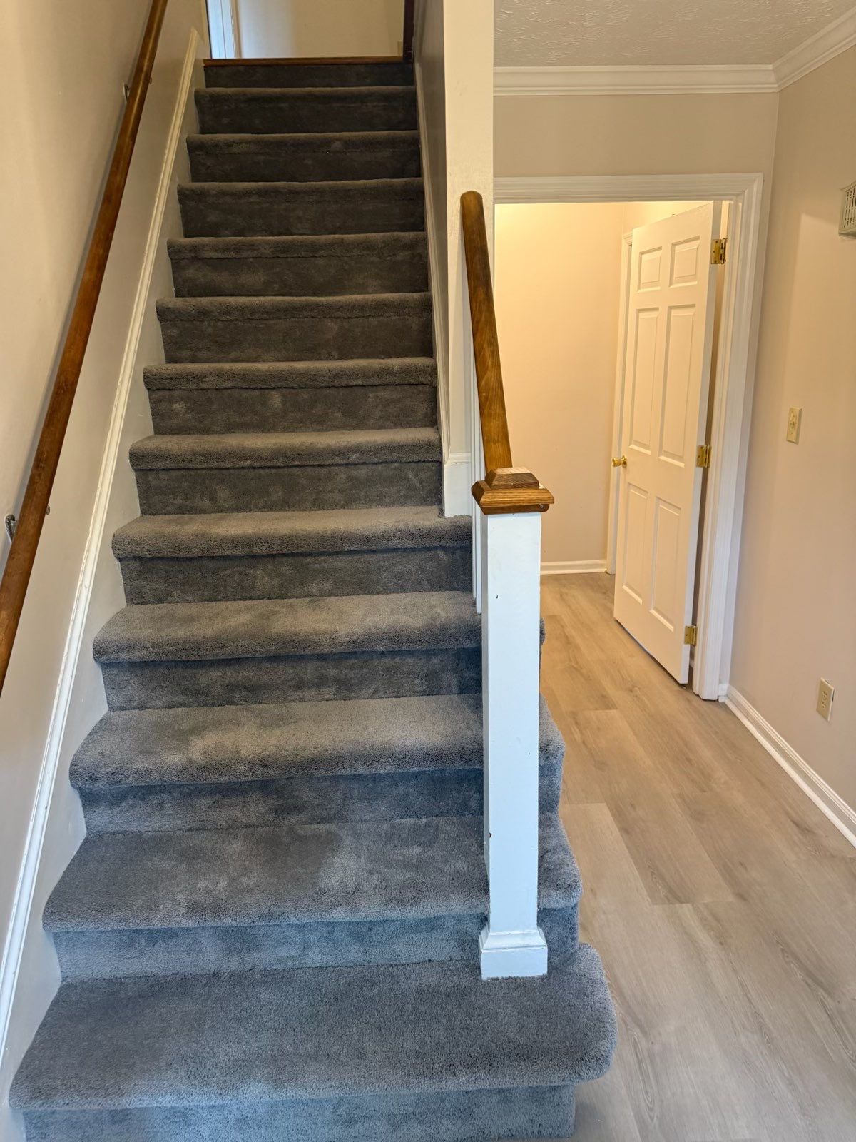 Project 81 by FMP Flooring