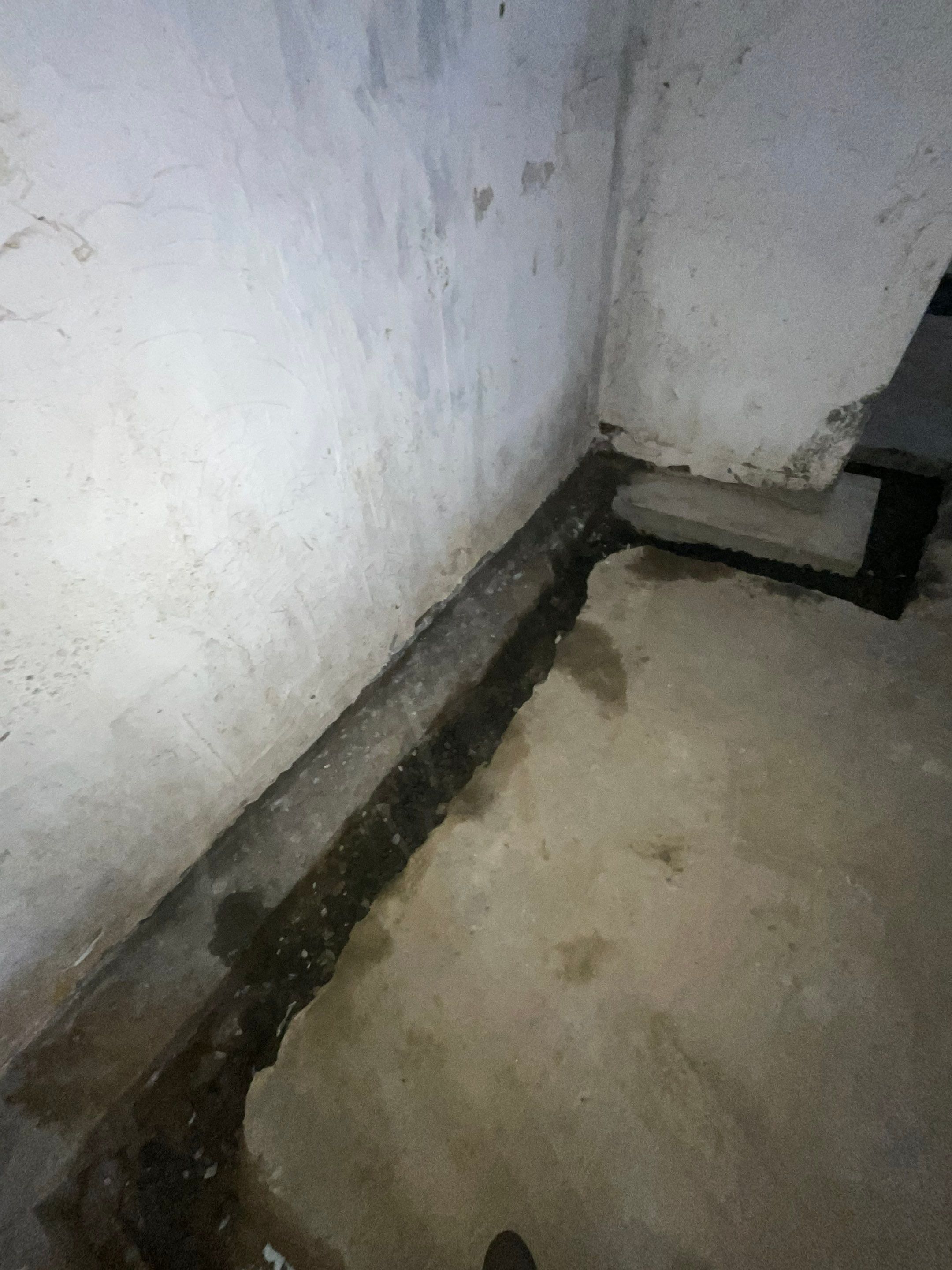 407 W Jericho Turnpike • Huntington, NY 11743  by A.M. Shield Waterproofing, Corp.