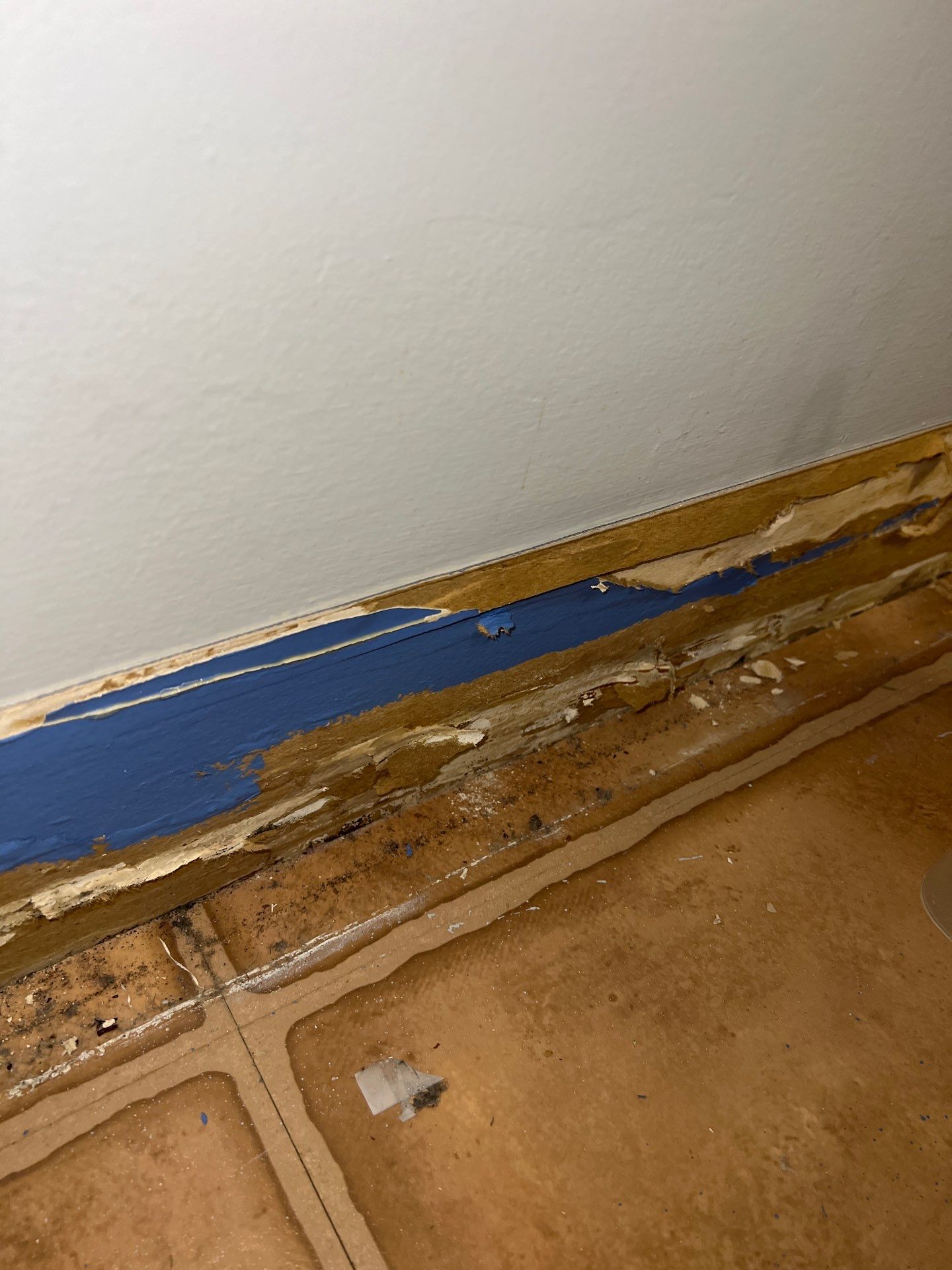 Emergency Water Mitigation & Structural Cavity Drying in Wilmington by Right On Time Restoration
