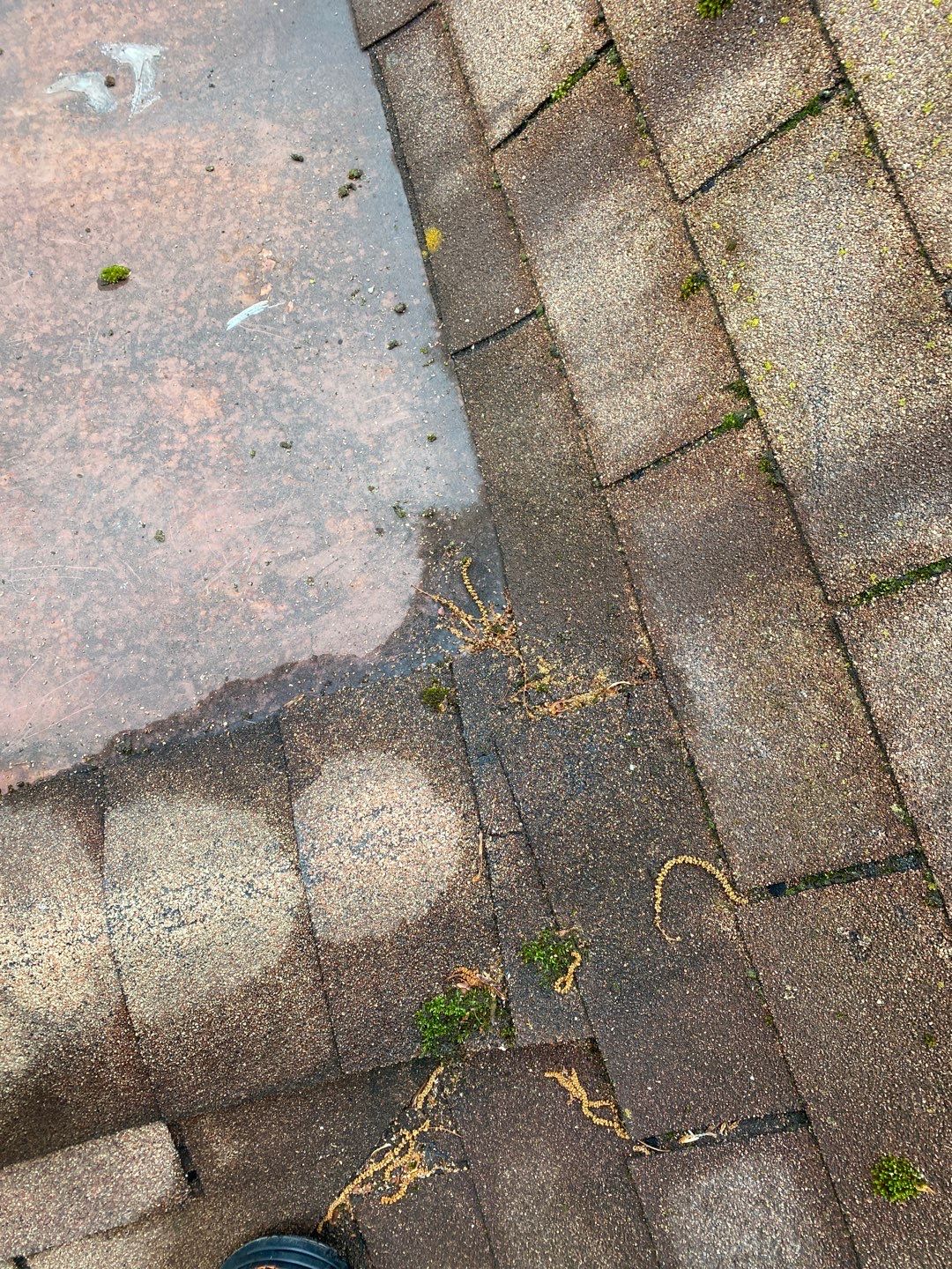 Arlington: CertainTeed Landmark Pro Designer Shingles in Max Def Shenandoah by RM Banning, Inc.