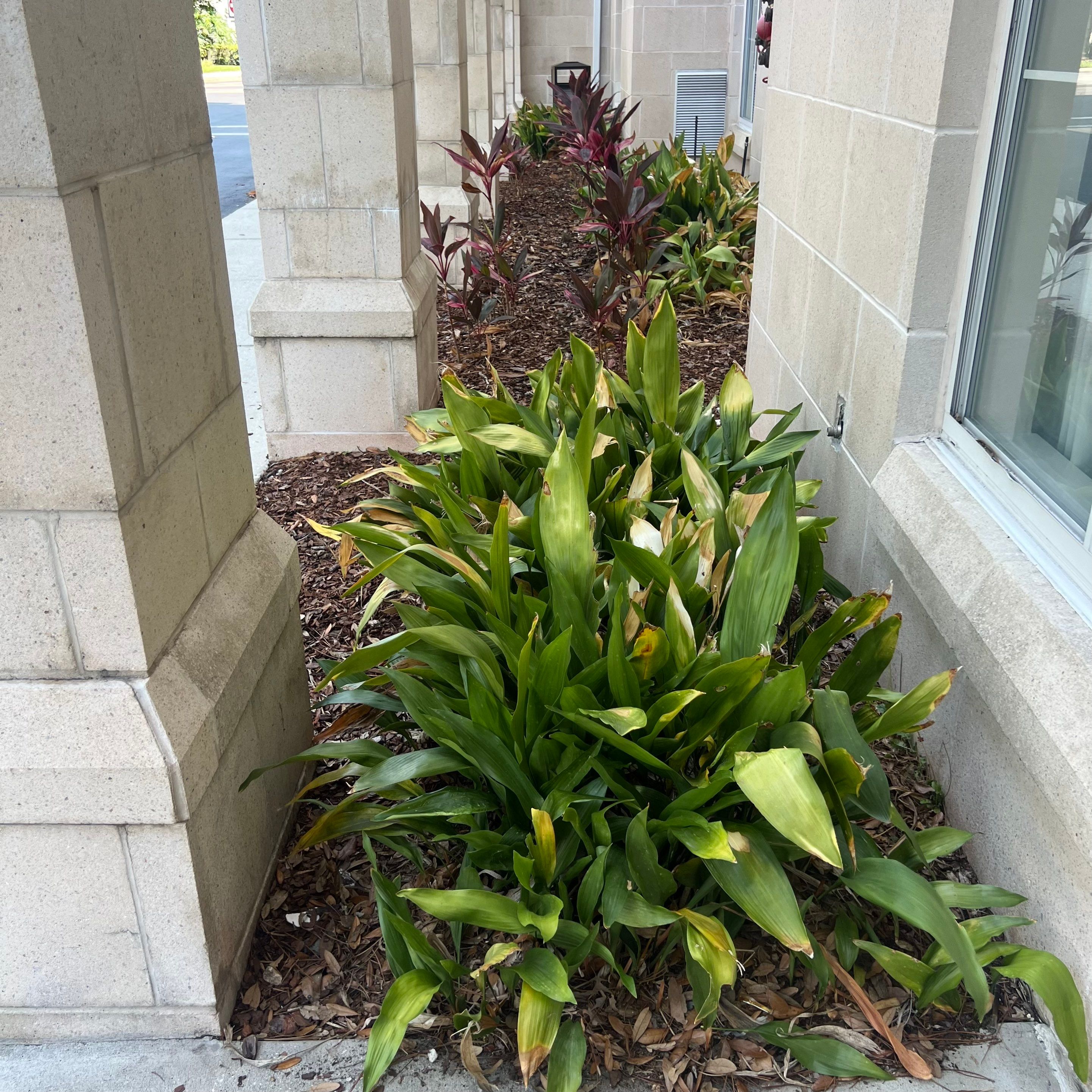 Homewood Suites | Tree Service by ProGreen Services