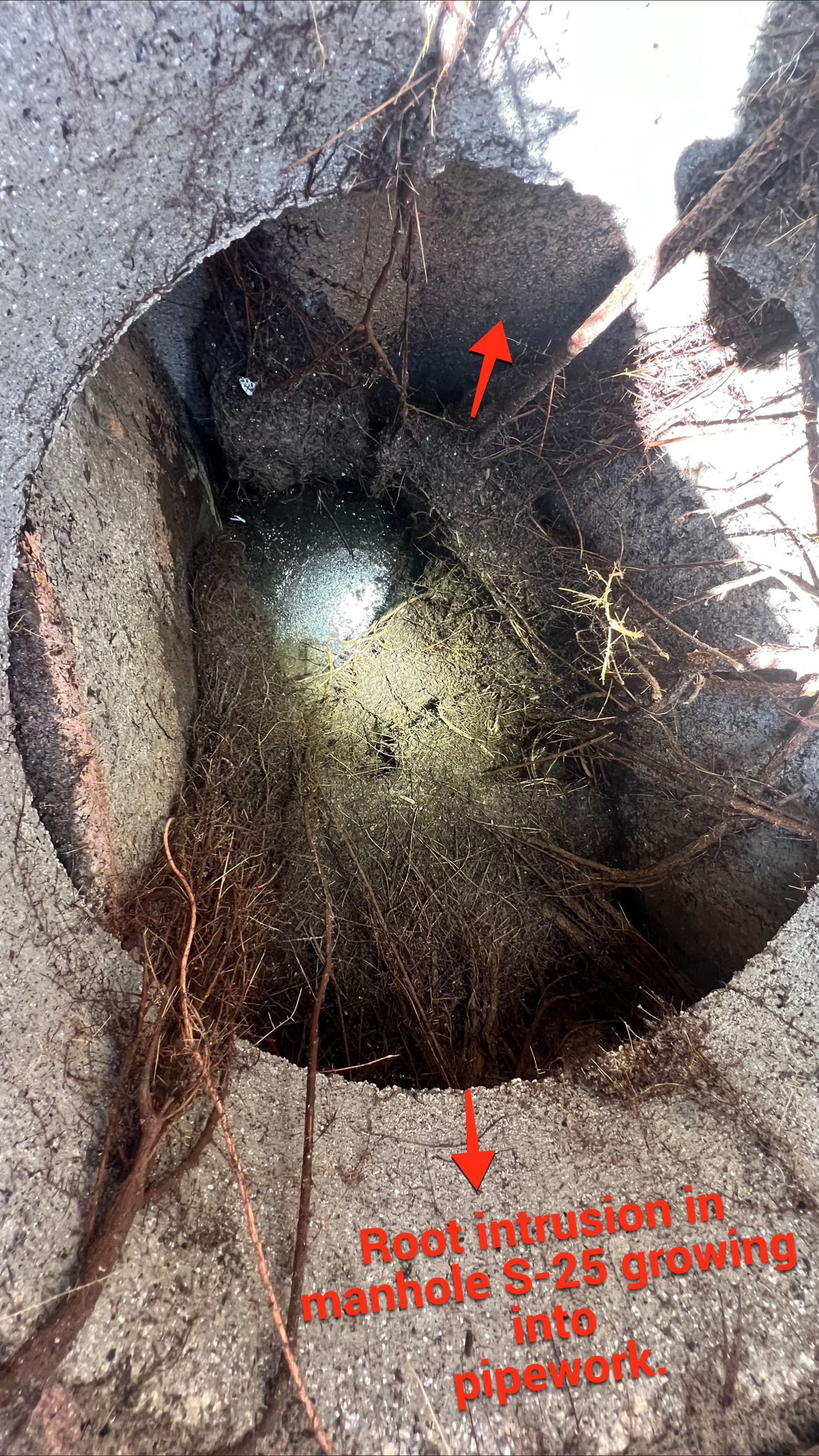 Condo Storm Water System Maintenance by Don Mar, Inc. Storm Water Solutions