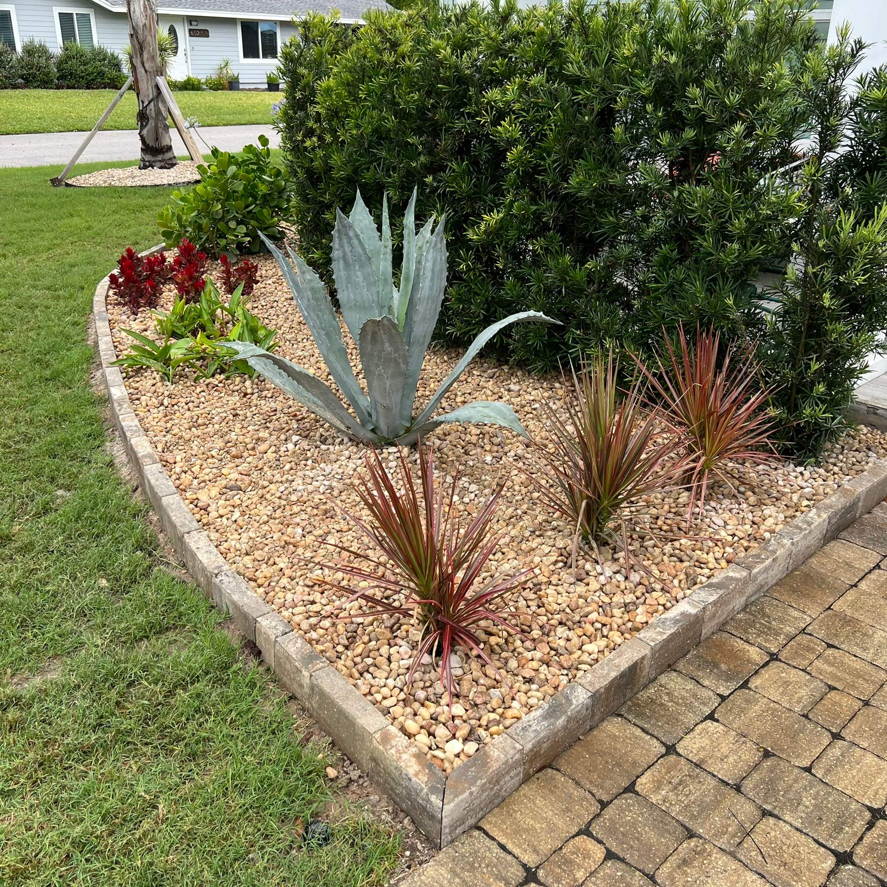 Rock & Agave Installation | Residential by ProGreen Services