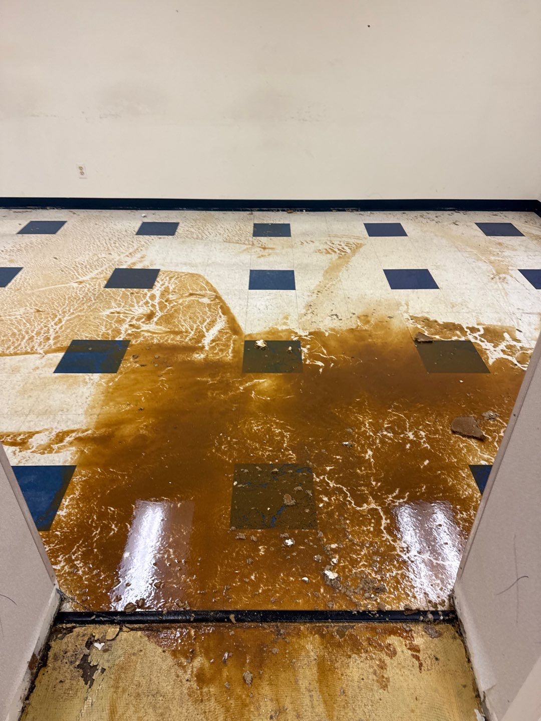 Project in Warren by EzDry Water Mitigation & Property Restoration