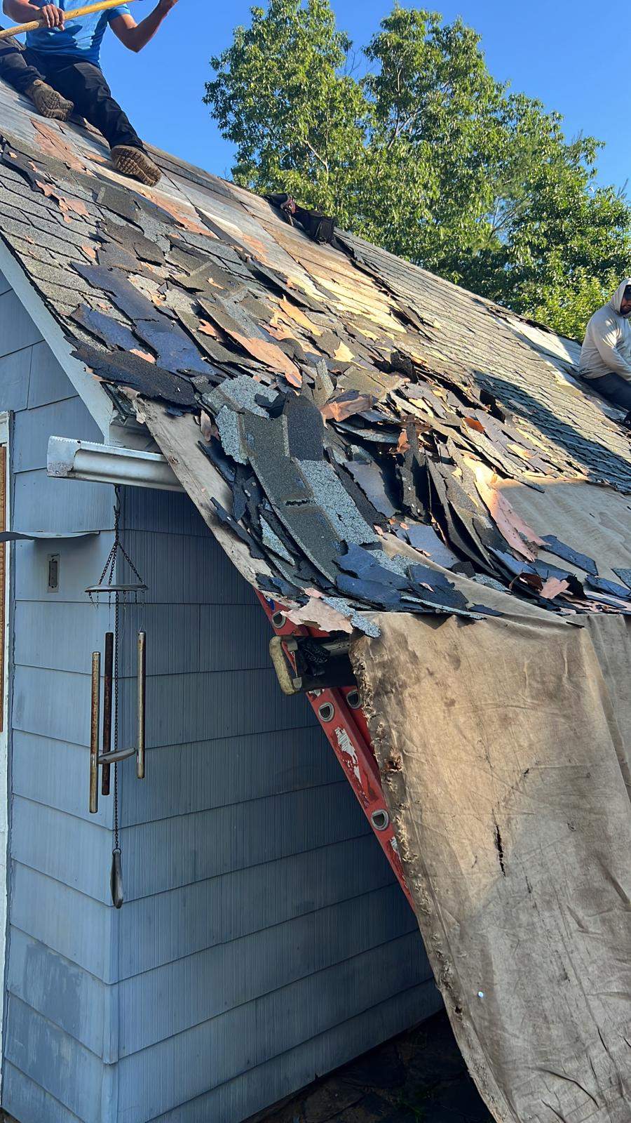 Project in Townsend by JOHNNYS PRO