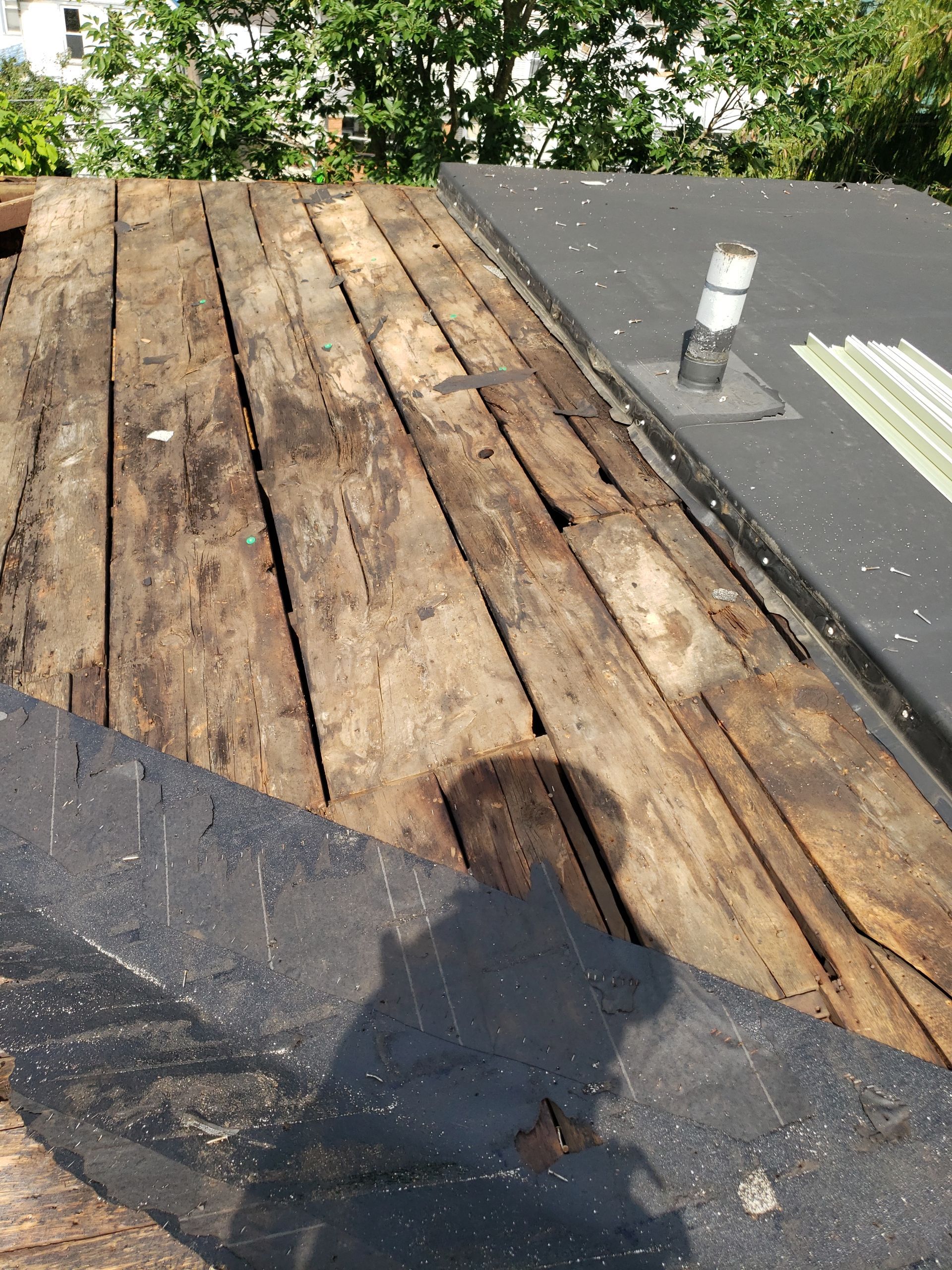 ATLAS PINNACLE COLOR: MAJESTIC SHAKE DRIP EDGE: WHITE by Eagle Eye Roofing