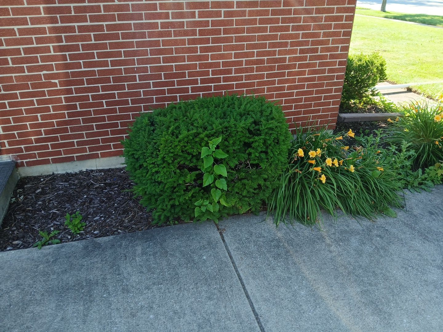 Martha C. - Mount Prospect, IL by A&N 