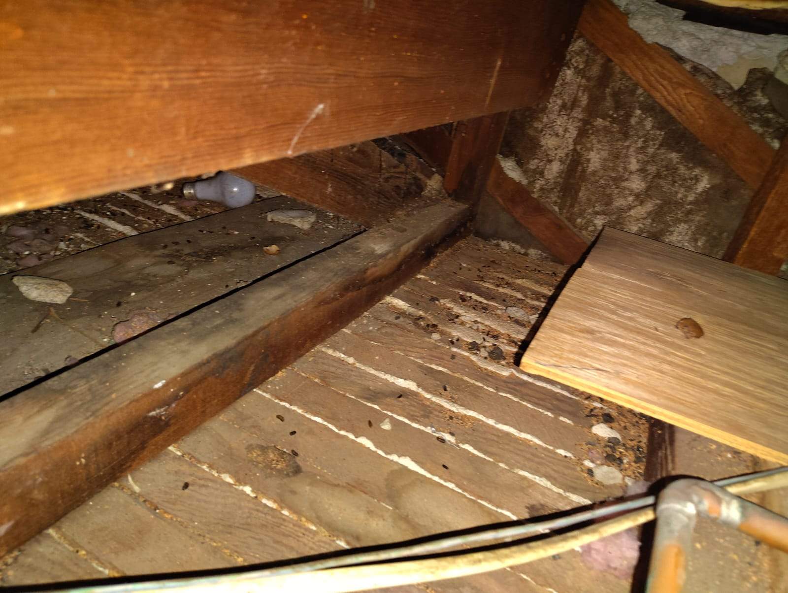 Project by Advanced Attic Solutions by Advanced Attic Solutions