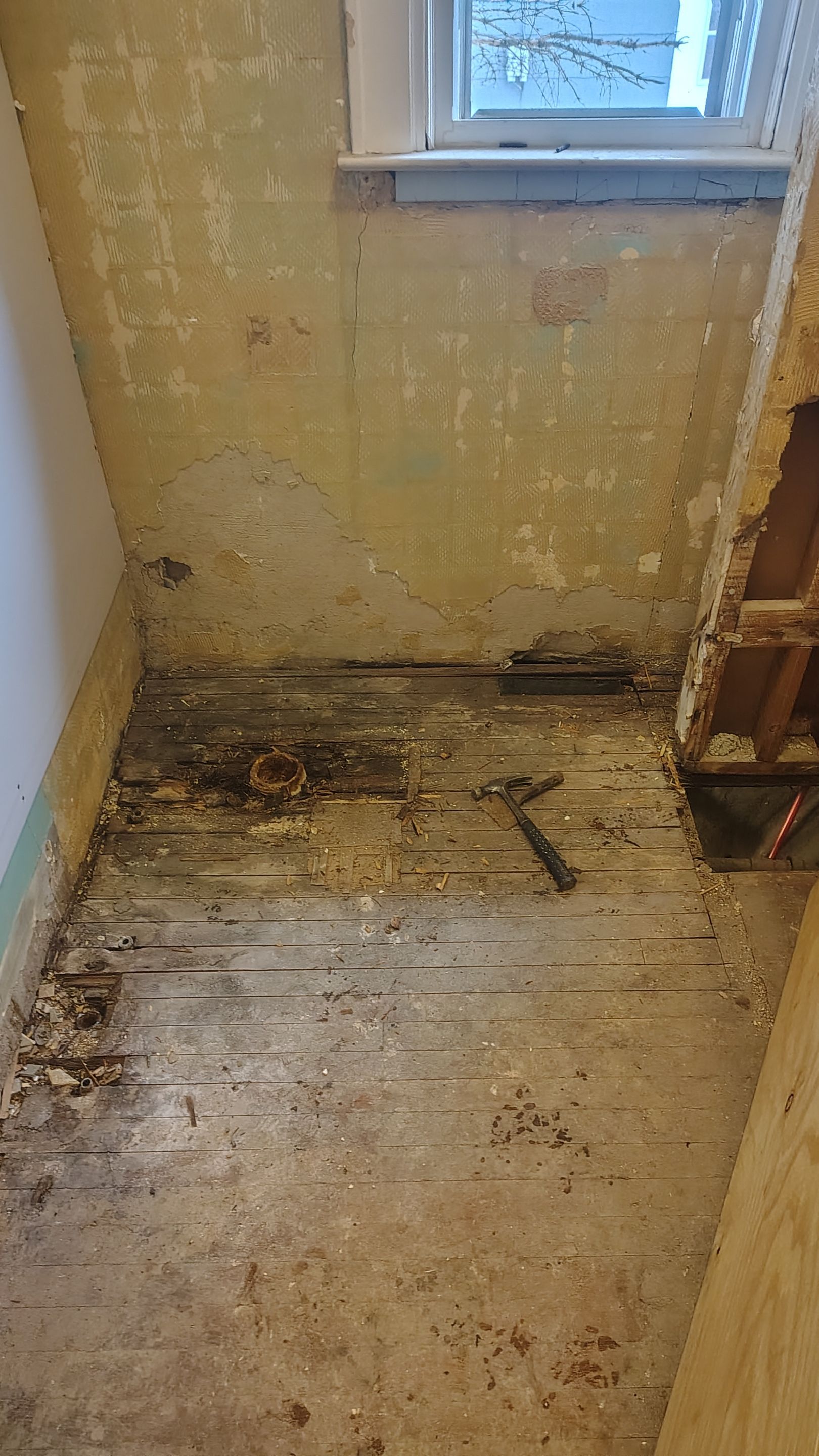 Complete Residential Interior Renovation and Exterior Roof Replacement in Dunbar by MAJO