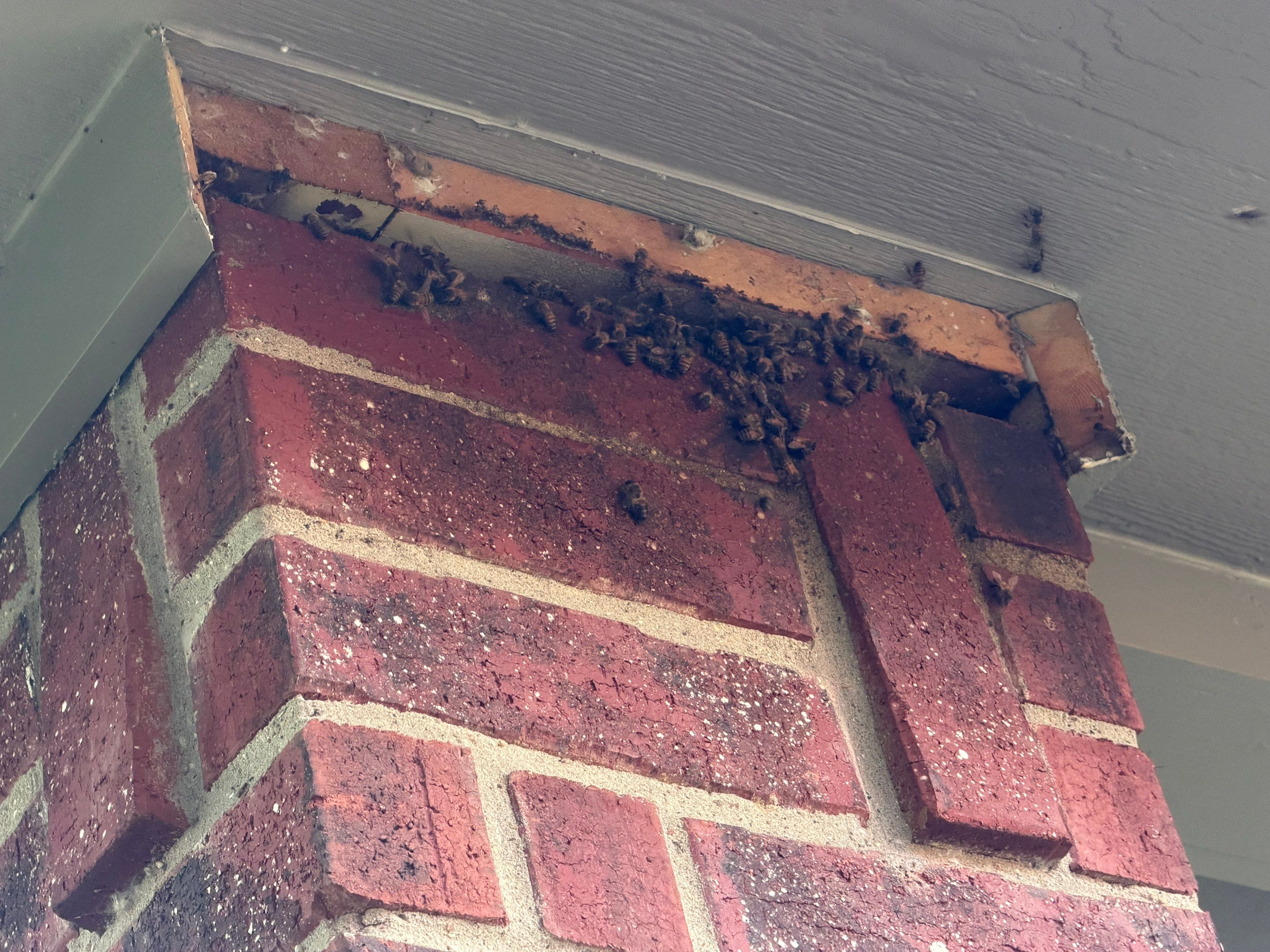 Brick Column by Rockwall Honey Bee Company