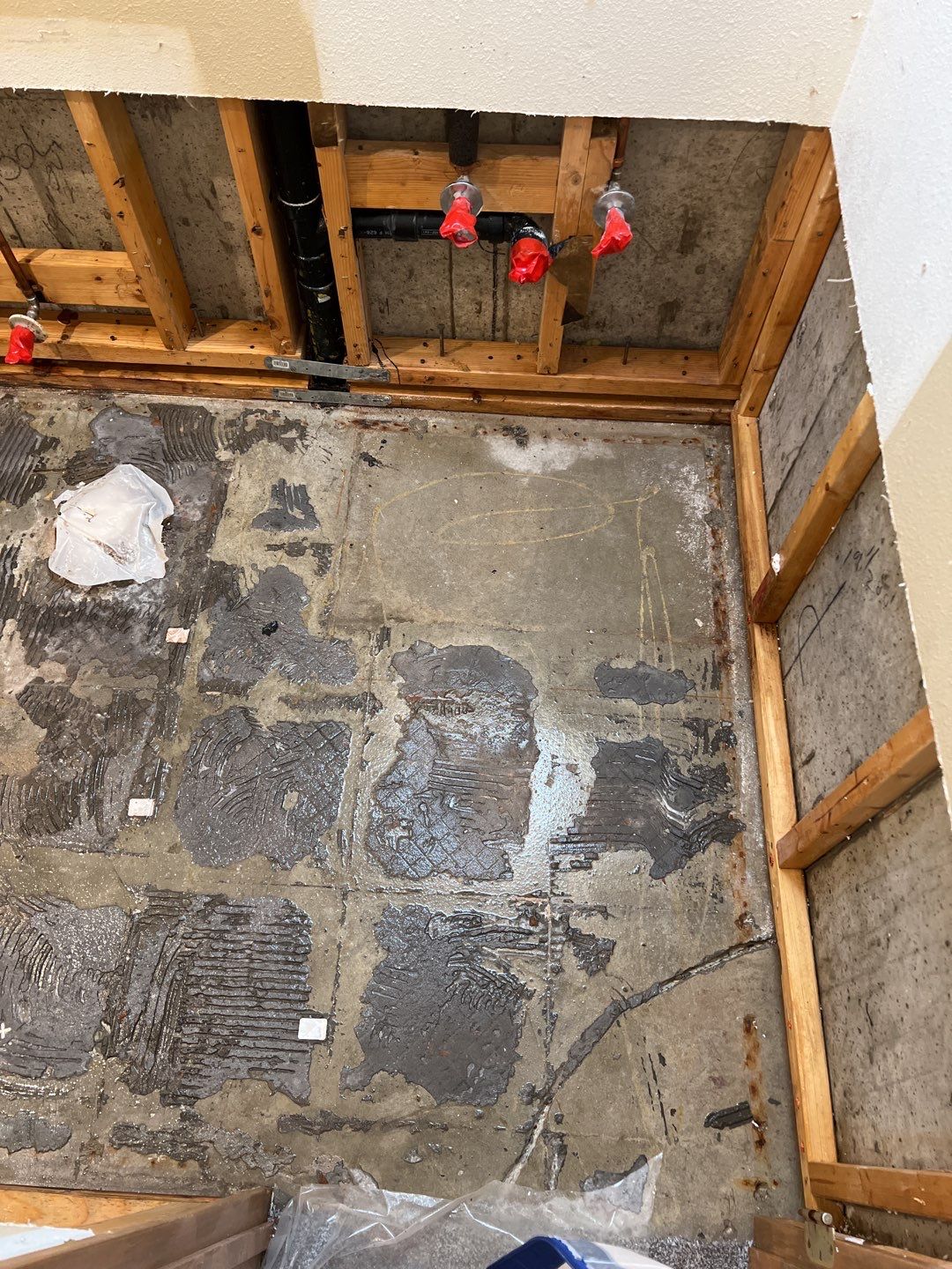 Mold Remediation by Accountable Home Services