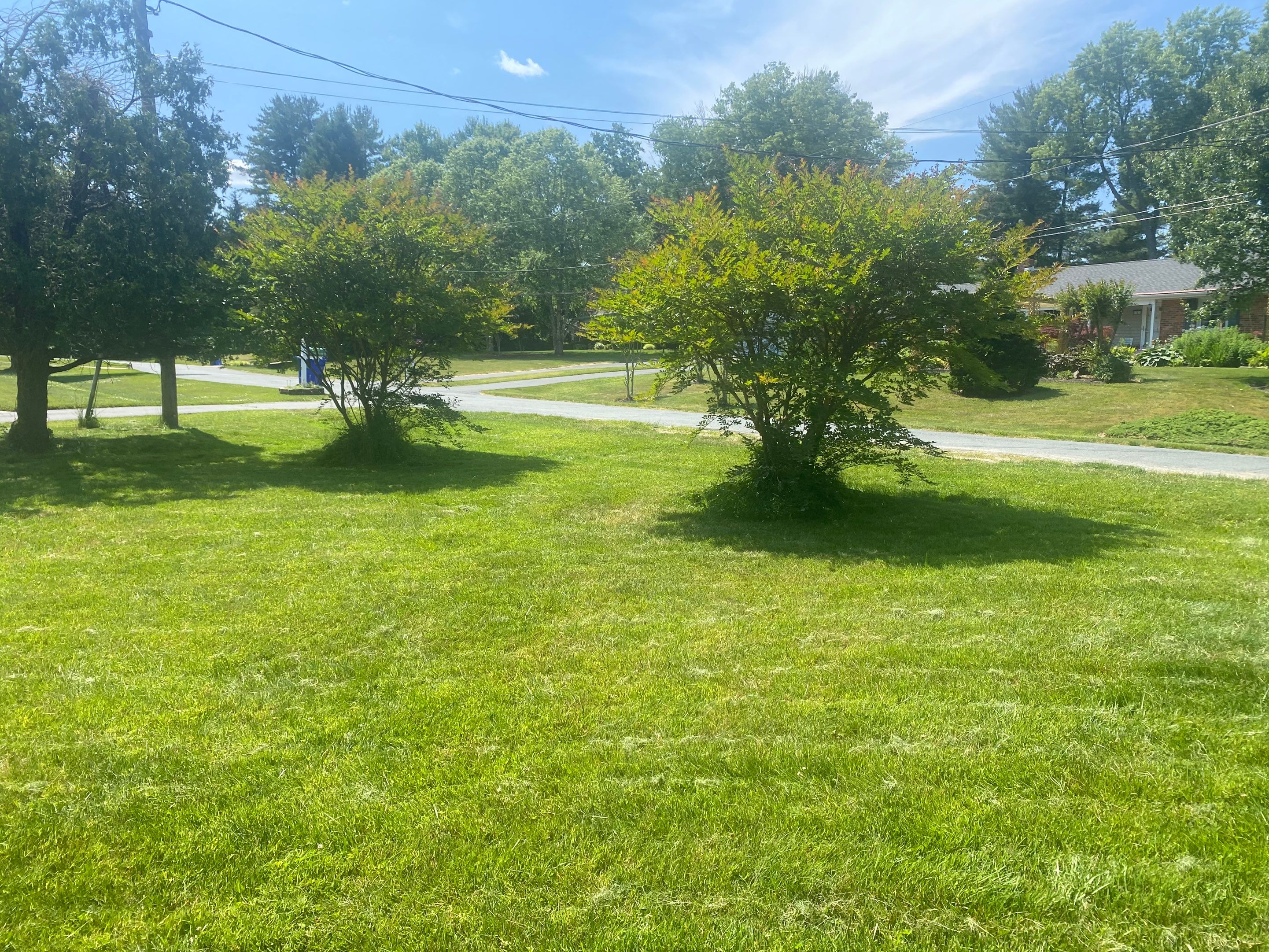 Landscape cleanup by The Smet Companies, LLC