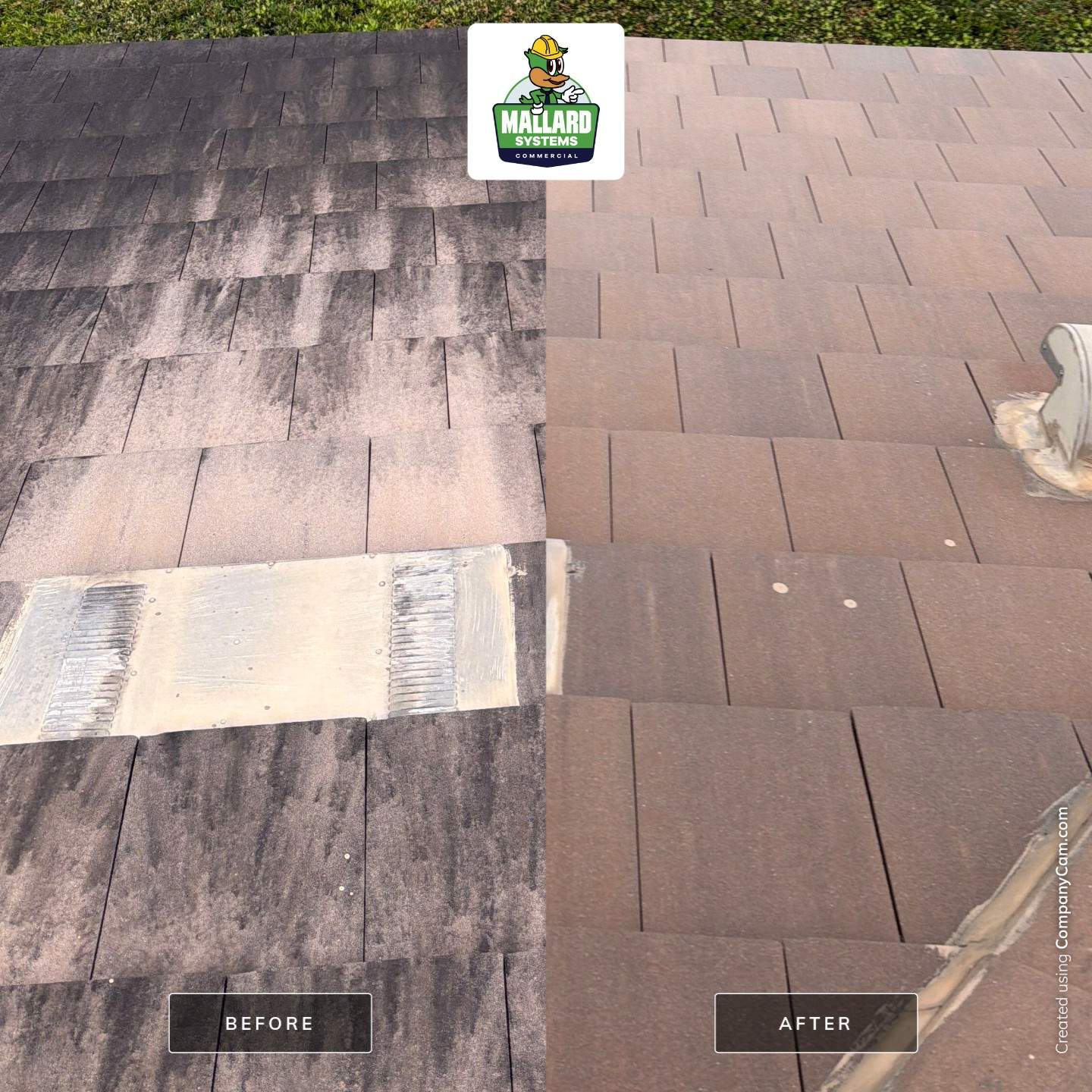 Tile Roof Cleaning in Winter Park by Mallard Systems