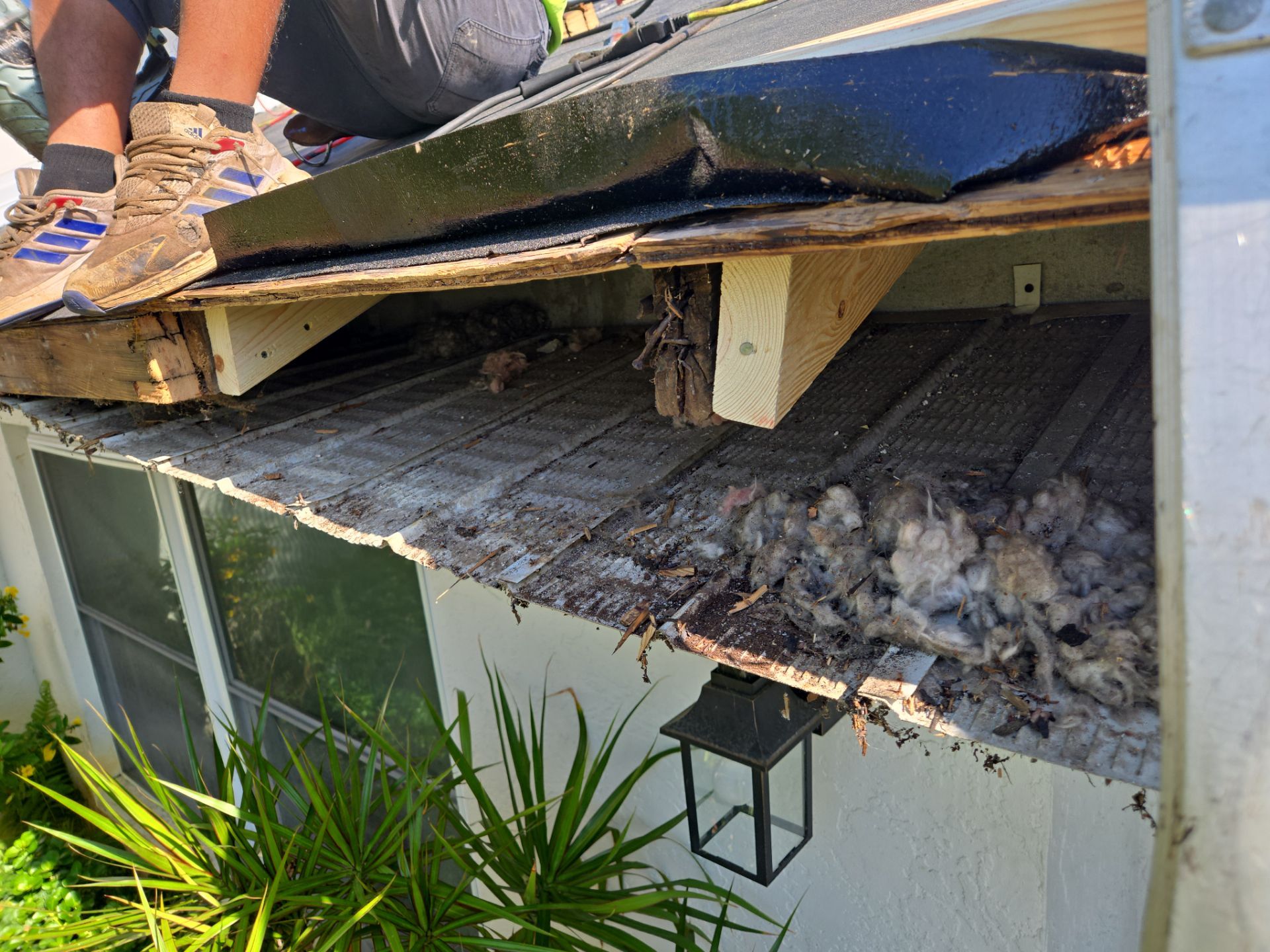 Project in Largo 33770 by Mitchell Roofing Company LLC 