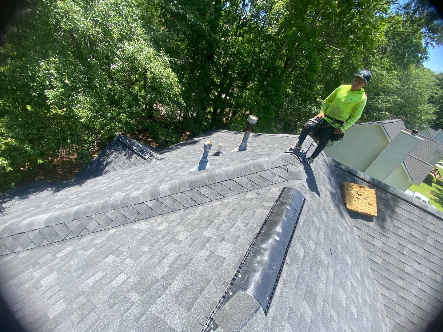 Rotten Wood by Roof Bullies