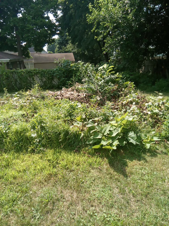 Tree Removal using Tree Removal by Mike Jones & Sons Tree Service LLC 