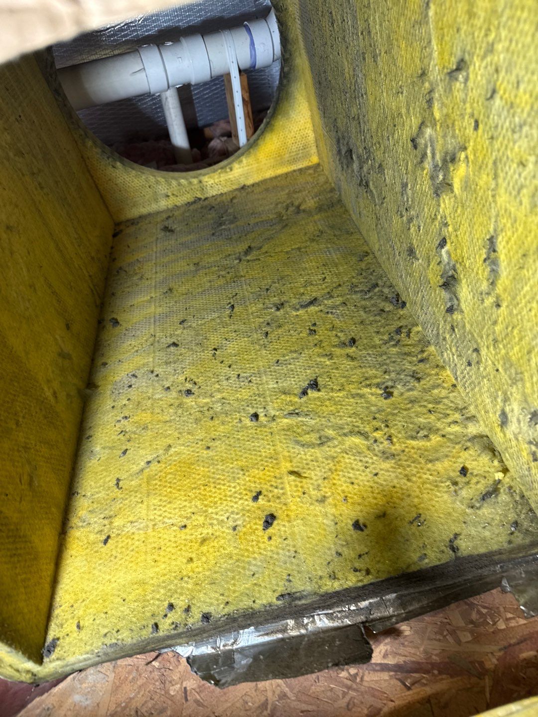 Mold in Air Ducts Remediation by Healthy Home Solutions