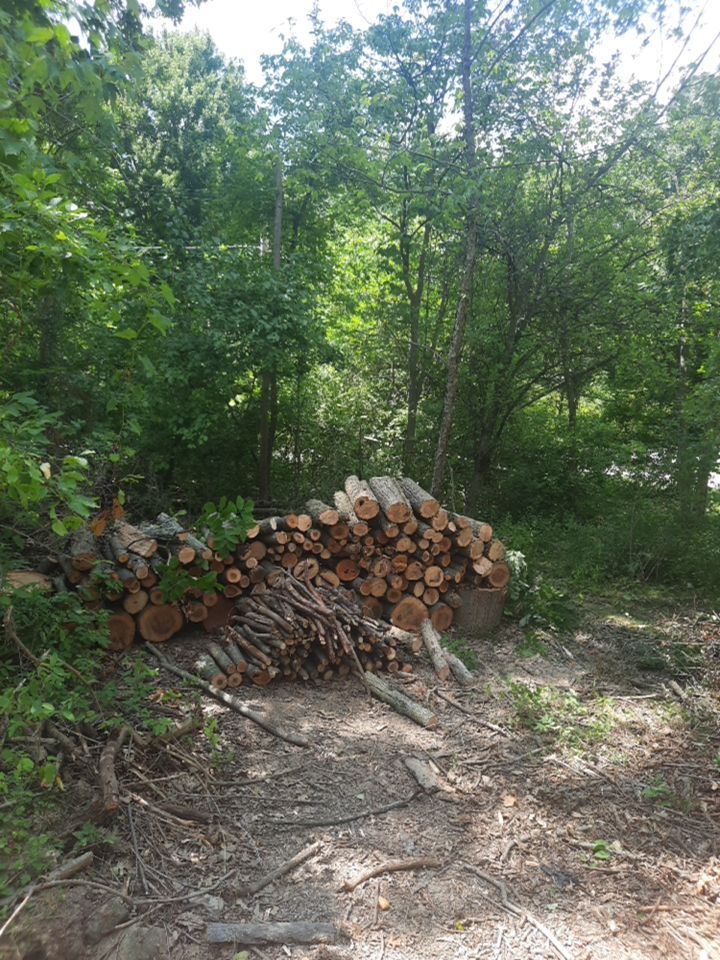 Tree Removal using Tree Removal by Mike Jones & Sons Tree Service LLC 