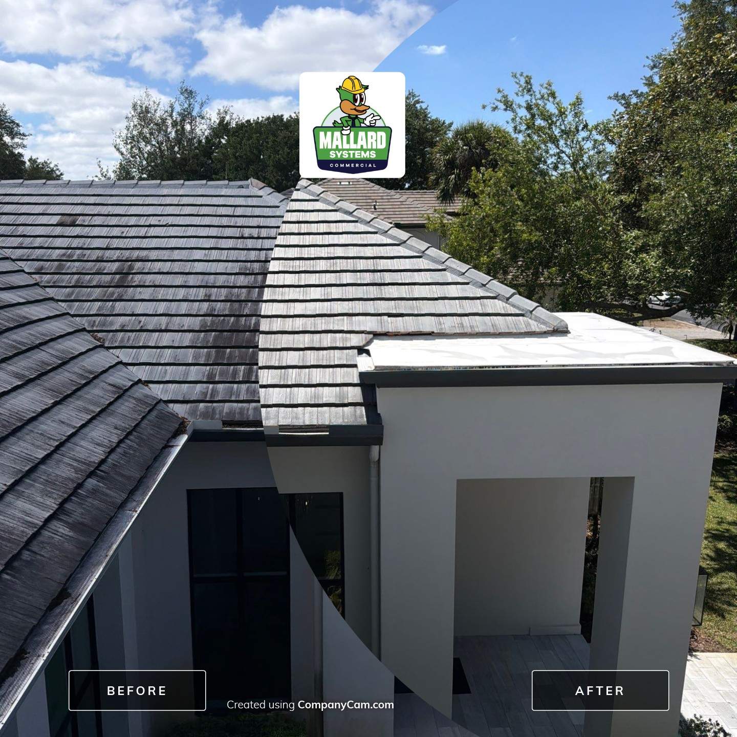 Flat Tile Roof Cleaning by Mallard Systems