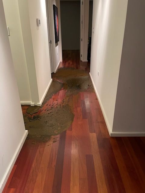 Sewage Backup in Highrise by Chicagoland Water Medics
