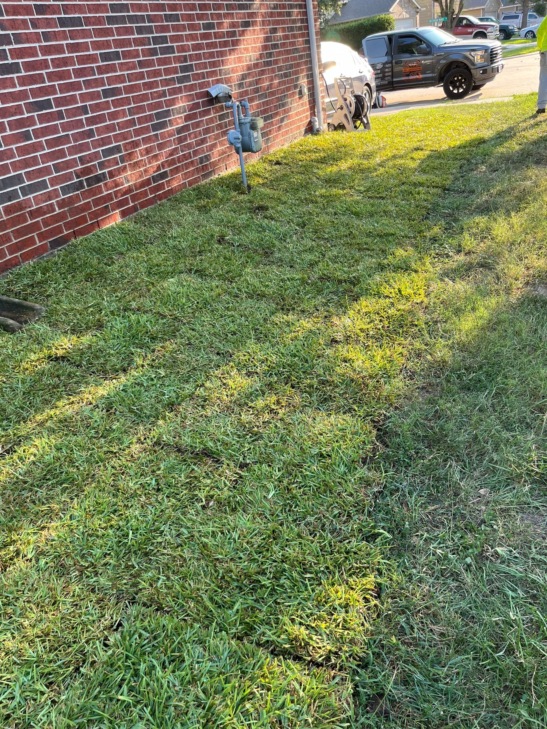Sandra — Front & Backyard Leveling, Drainage, and Sod Transformation by Texas Urban Elements