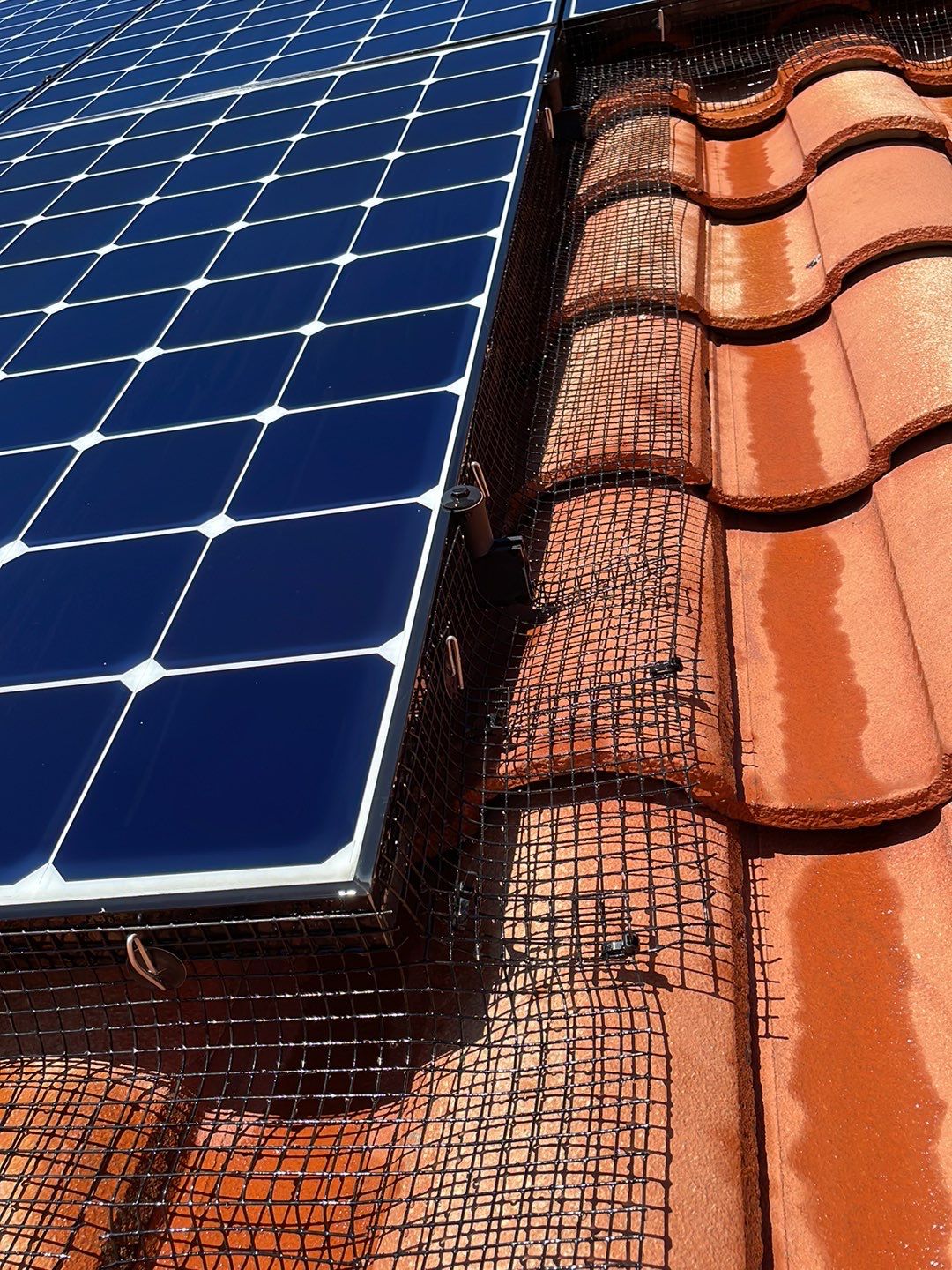 Solar Panel Bird Proofing using Critter Guard Mesh by All One Solar Shine