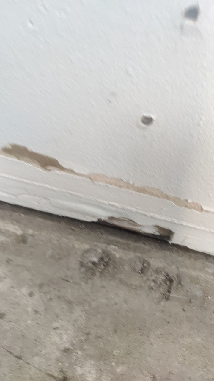 Mold Remediation by Accountable Home Services