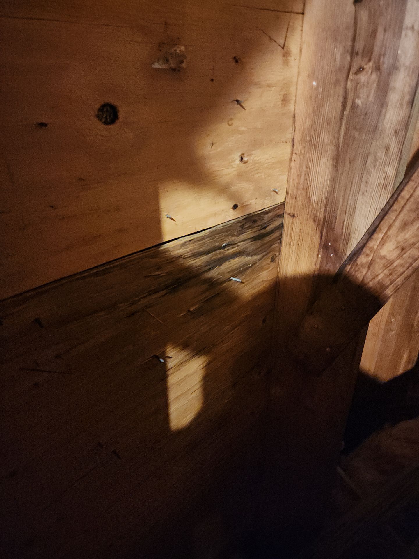 Hail Damage using Owen's Corning Duration (Lifetime) Shingles by Roof Repair Company