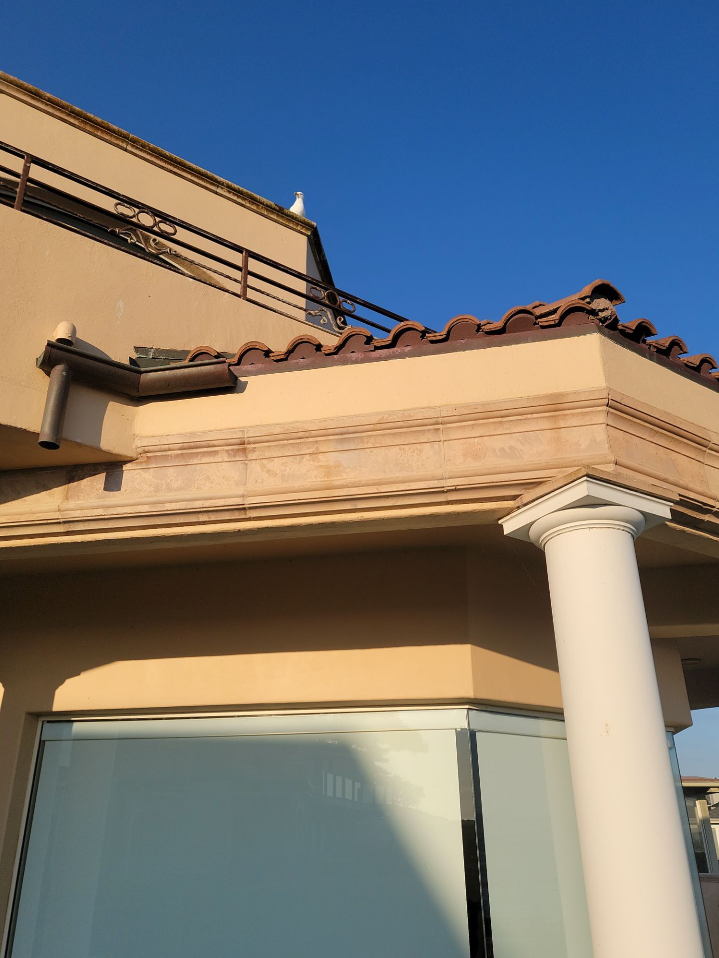 Complete Repaint by Matt Gifford Painting LLC