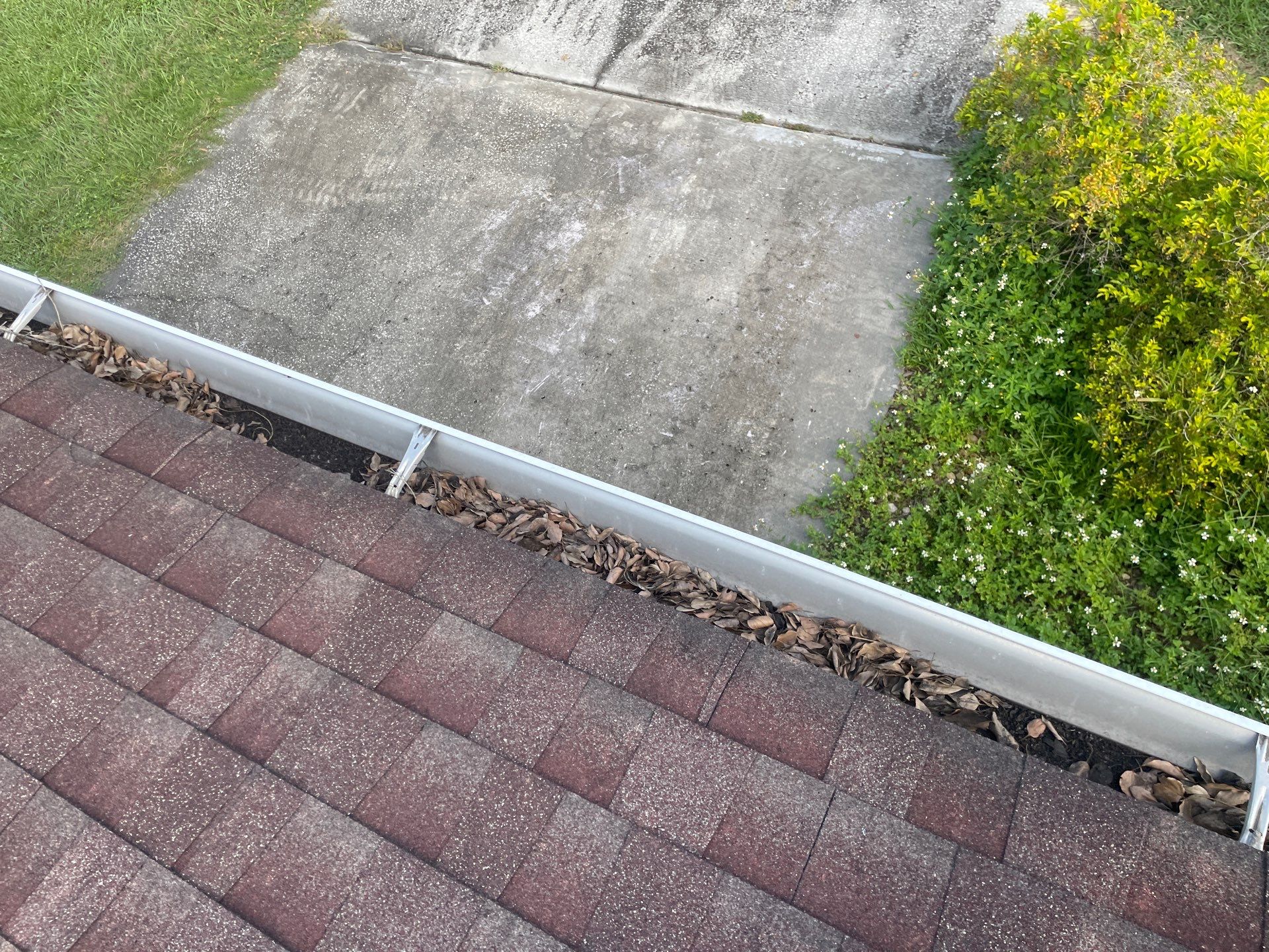 Gutter Cleaning in Brandon FL by Gutter Professors
