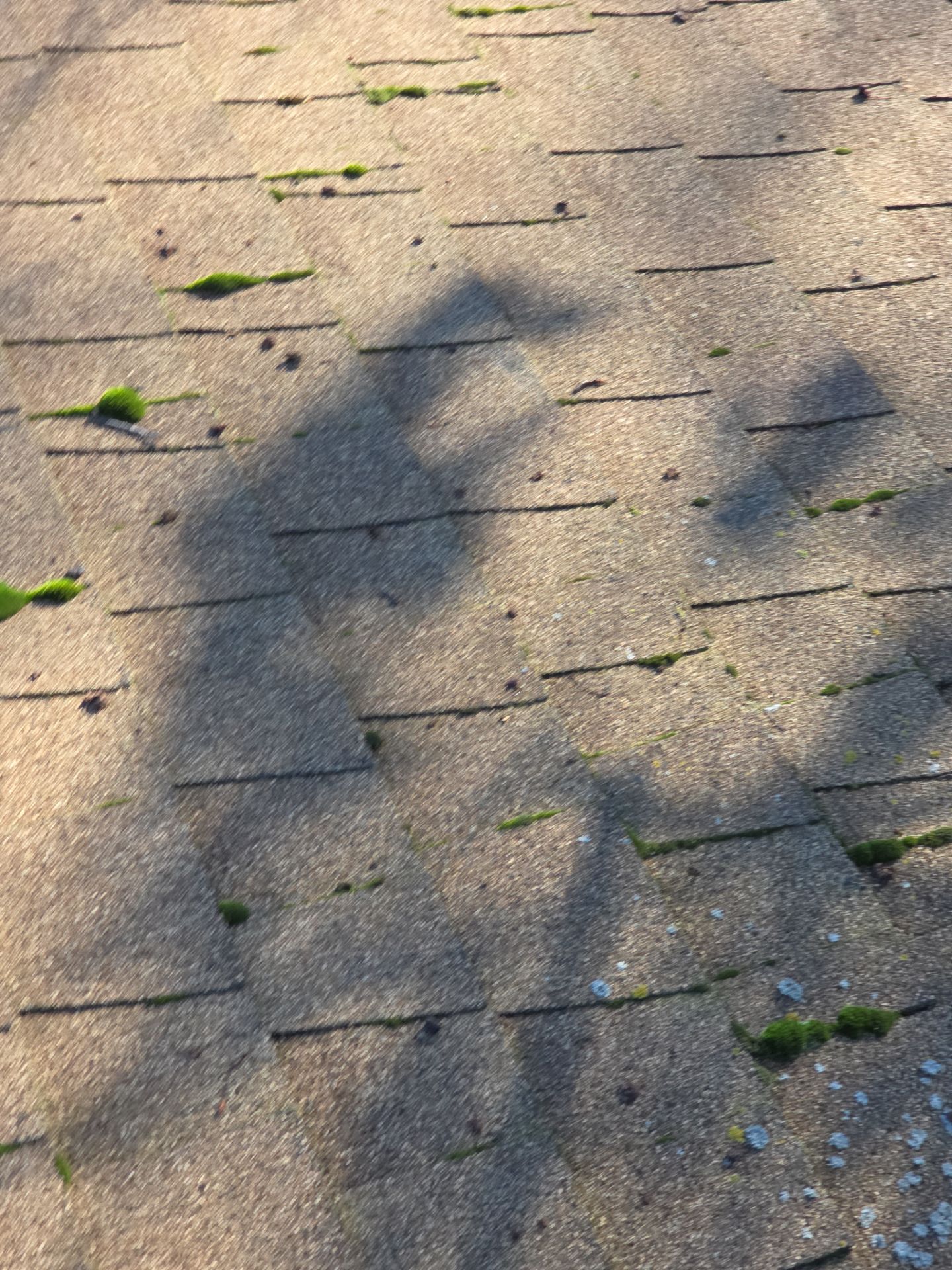 Roof Rejuvenation using Roof Maxx Treatment by Roof Maxx of Folsom