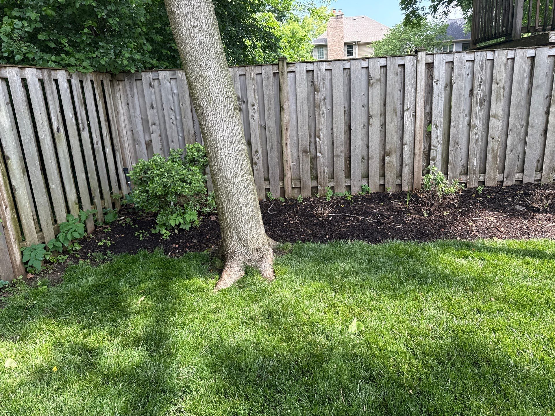 Kevin K. - Deerfield, IL by A&N