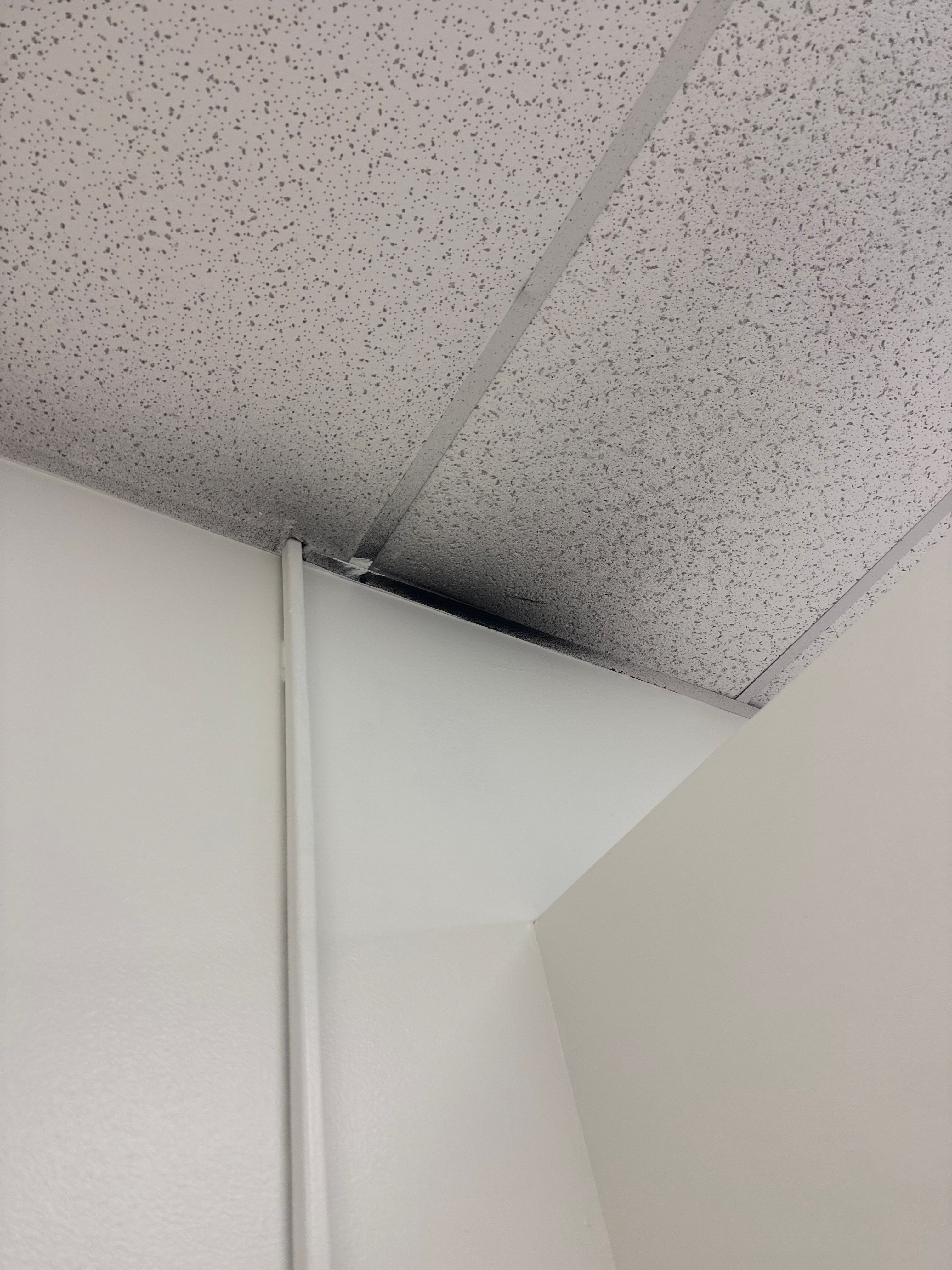Repaint Walls in Commercial Unit by Midwest Paint LLC