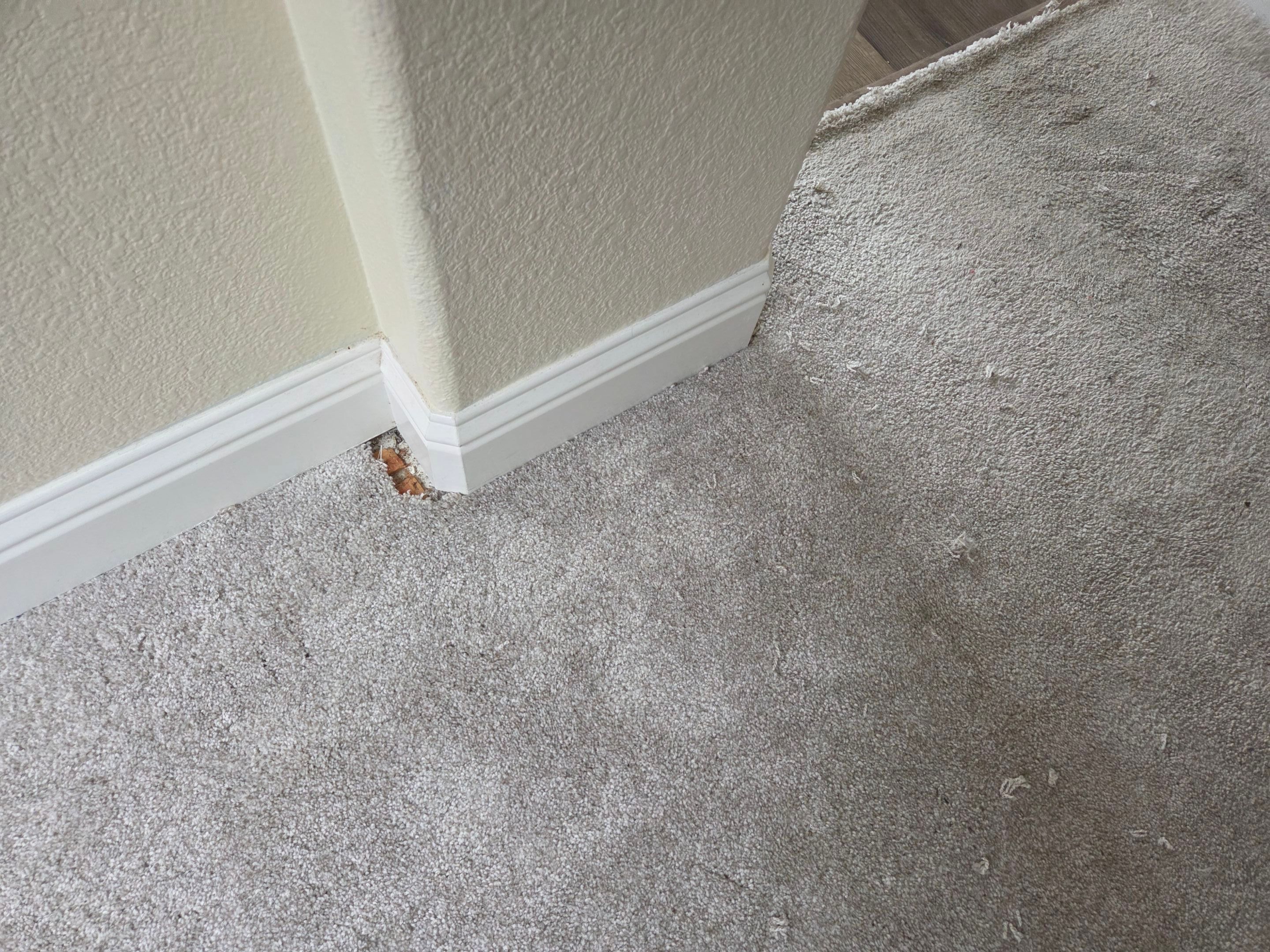 Carmichael Carpet Re-stretching and Cleaning by Ardent Carpet Restore LLC