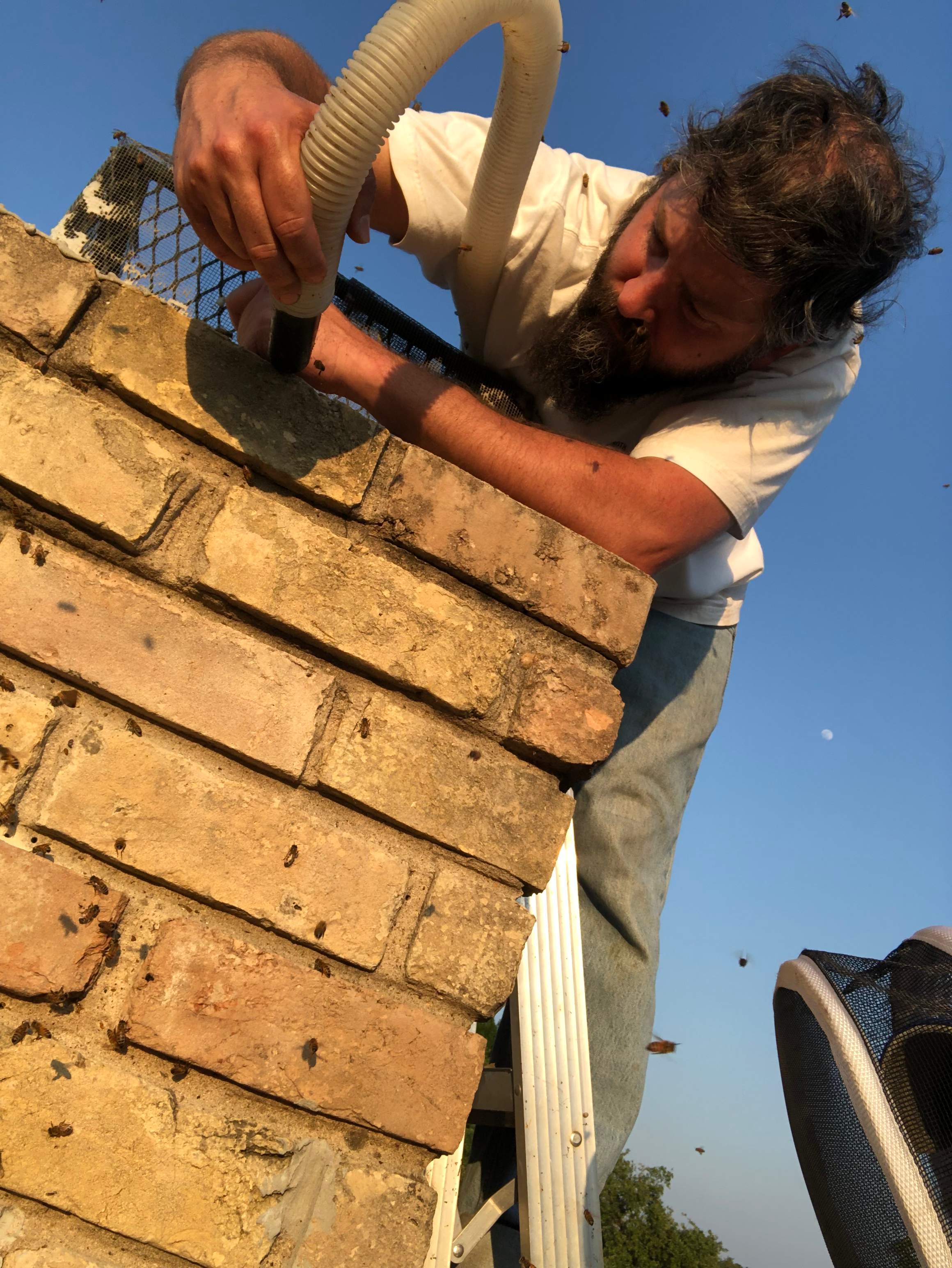 Chimney by Rockwall Honey Bee Company