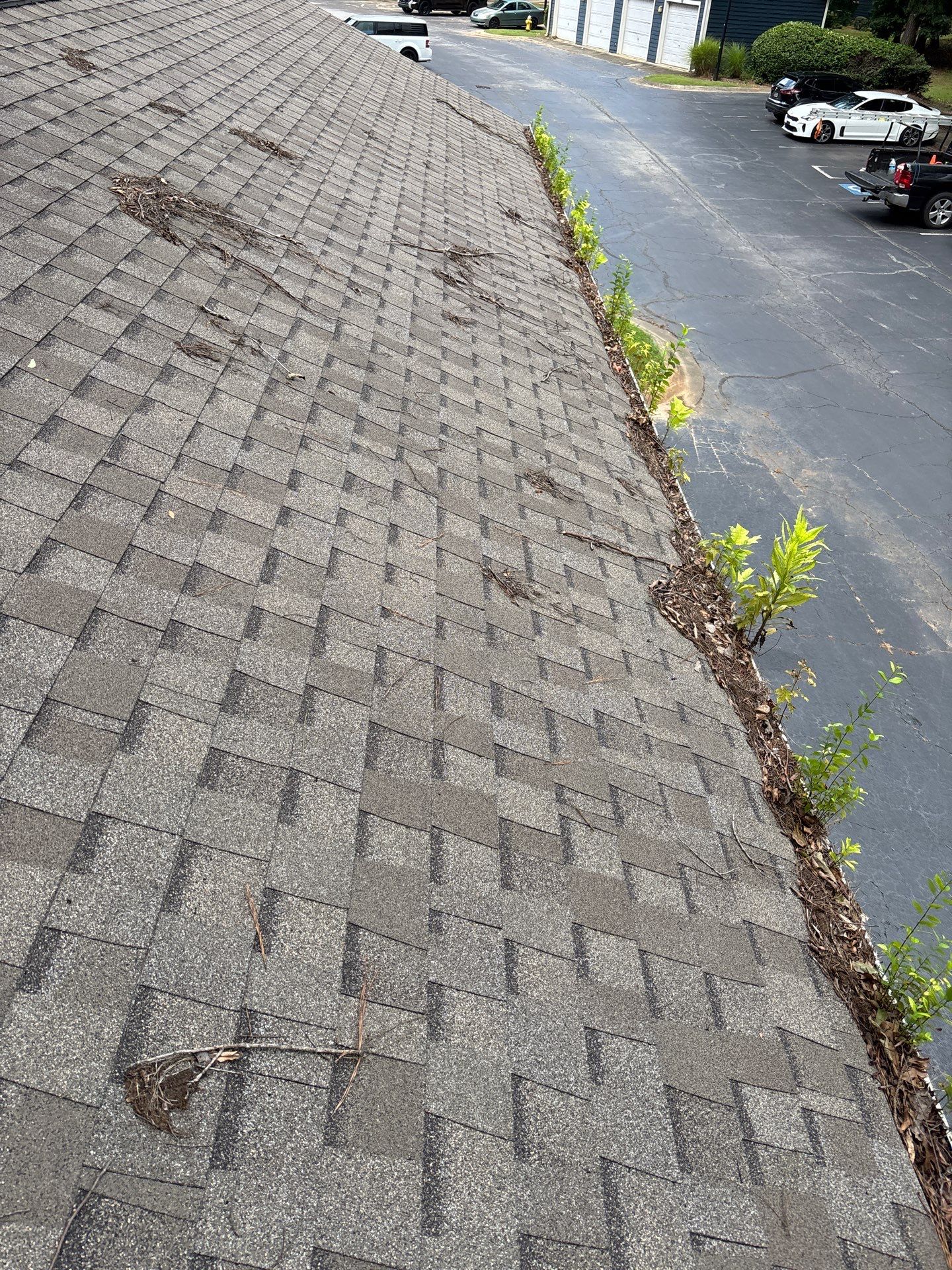 Commercial gutter cleaning Warner Robins & Perry, GA before photo with filled gutters