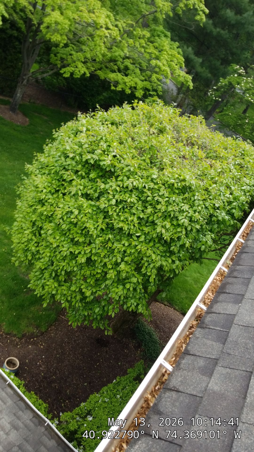 Essential Gutter Cleaning Service Plan in Montville, NJ 07045 by NJ Home Maintenance Services