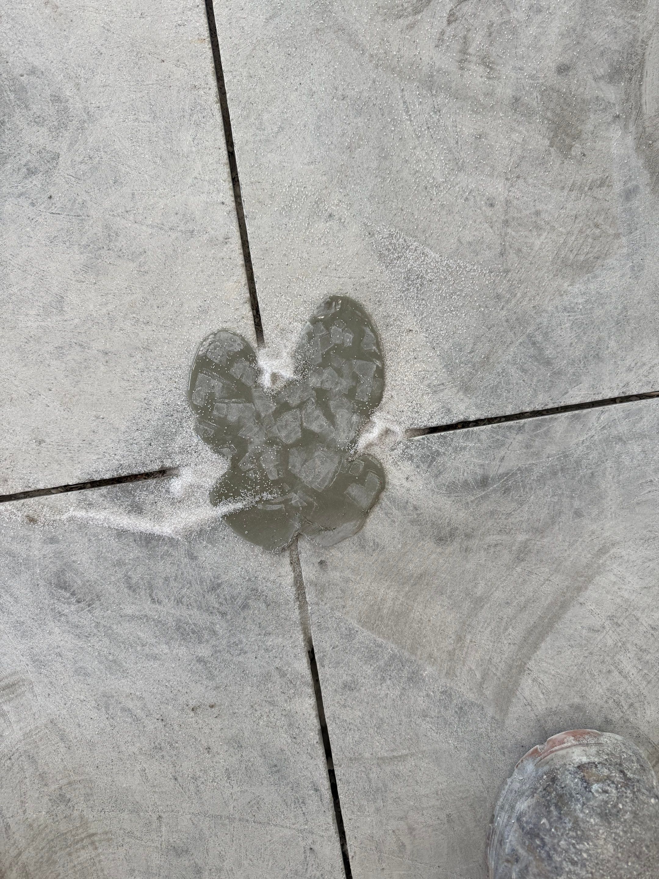 Gravel Flake Garage Floor Coating in Yankton by Select Painting, Coatings & Garage Cabinets