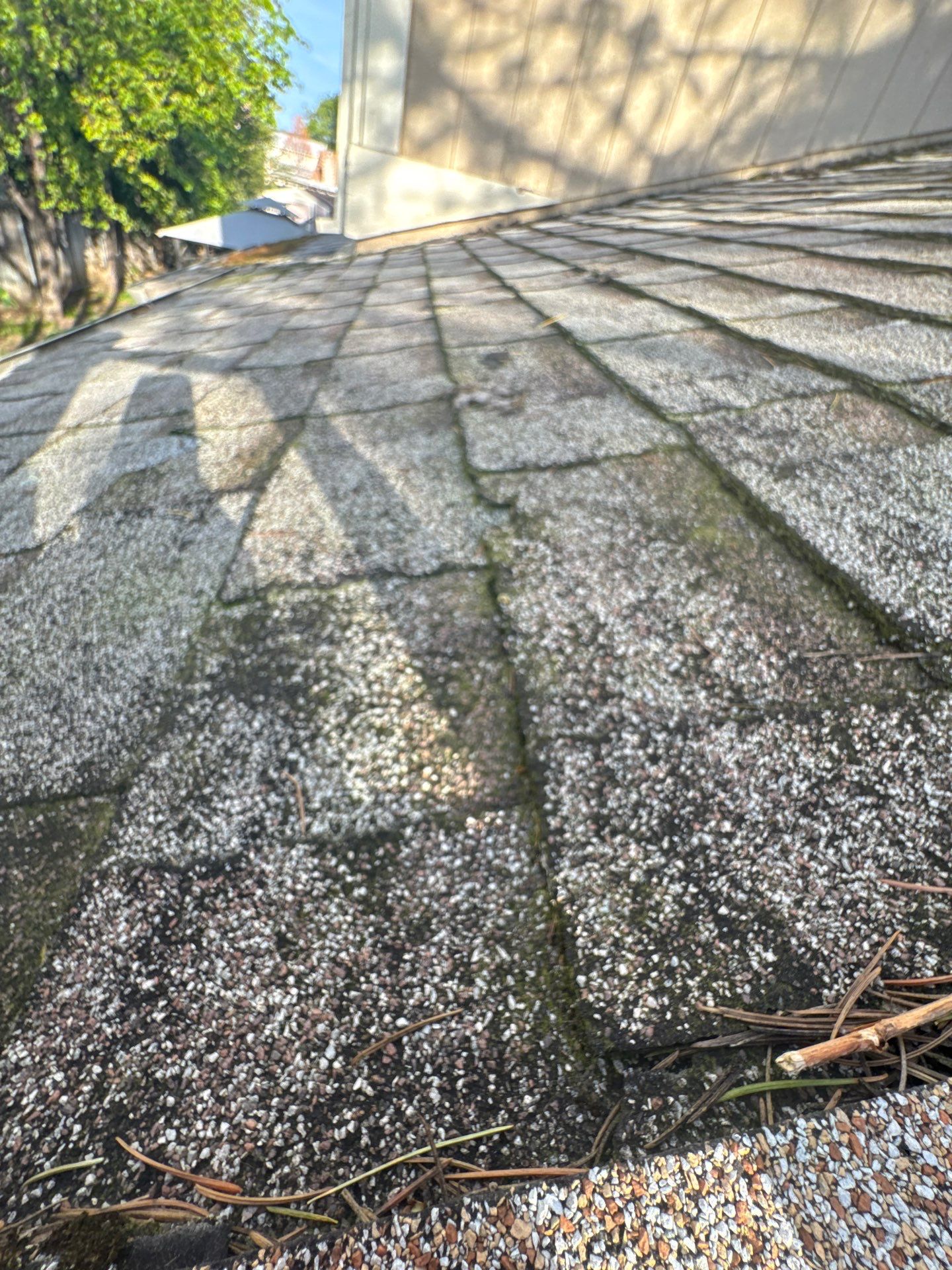 Roof Rejuvenation using Roof Maxx Treatment by Roof Maxx of Folsom