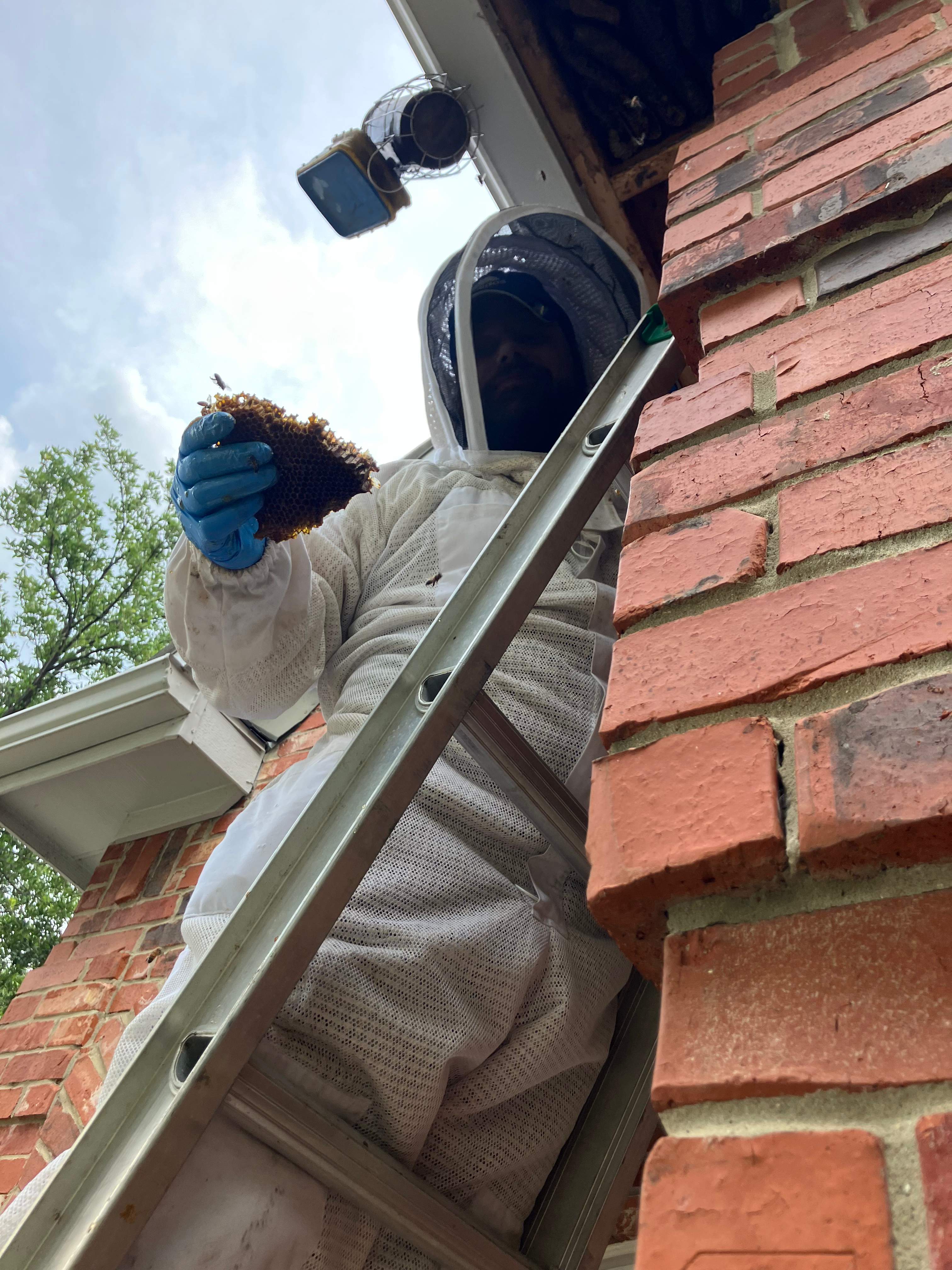 Caution! by Rockwall Honey Bee Company