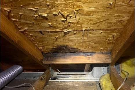 Repair Photos by Four Peaks Roofing