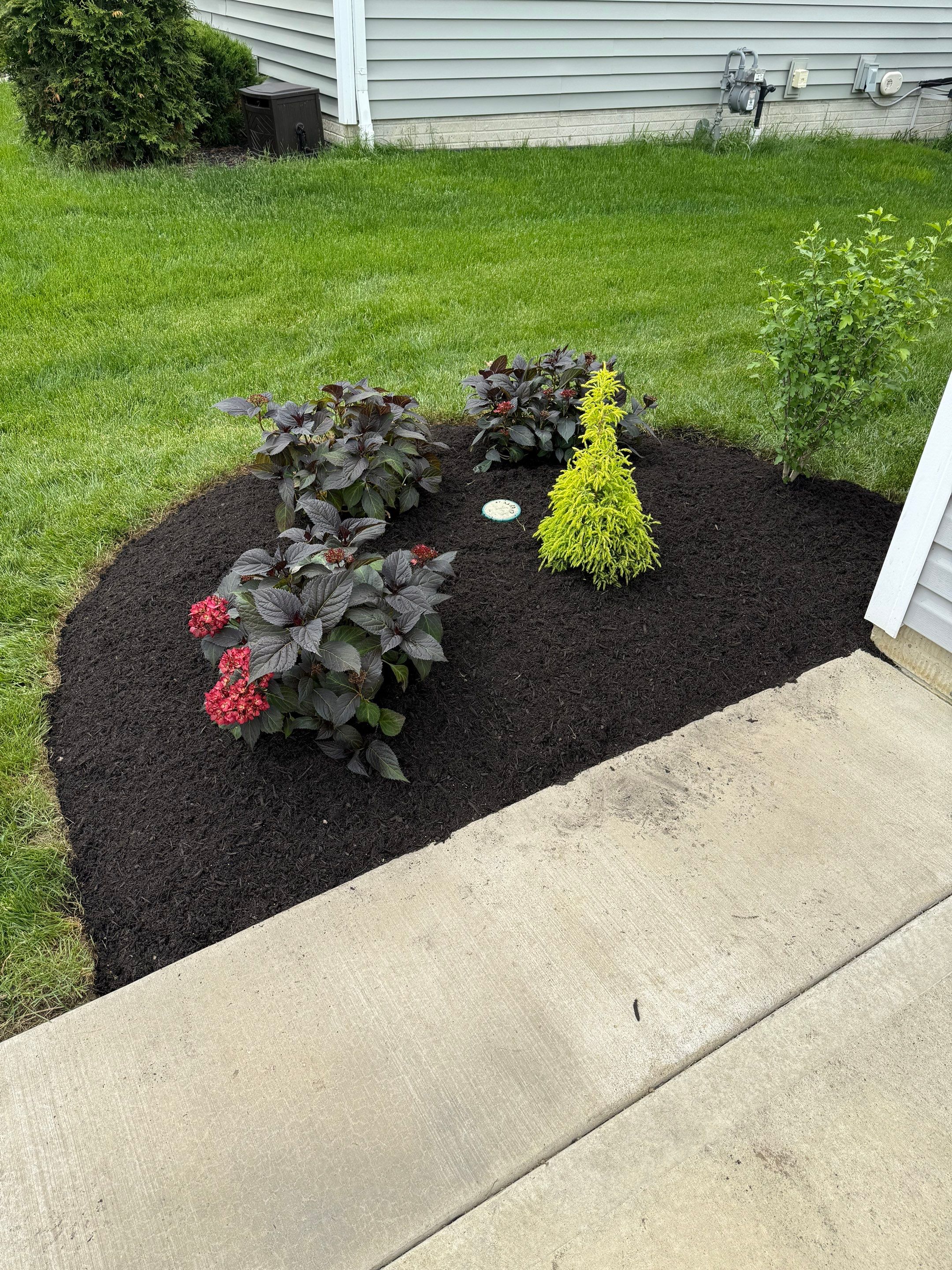 Chippewa Lake Project by Elm Rose Gardens