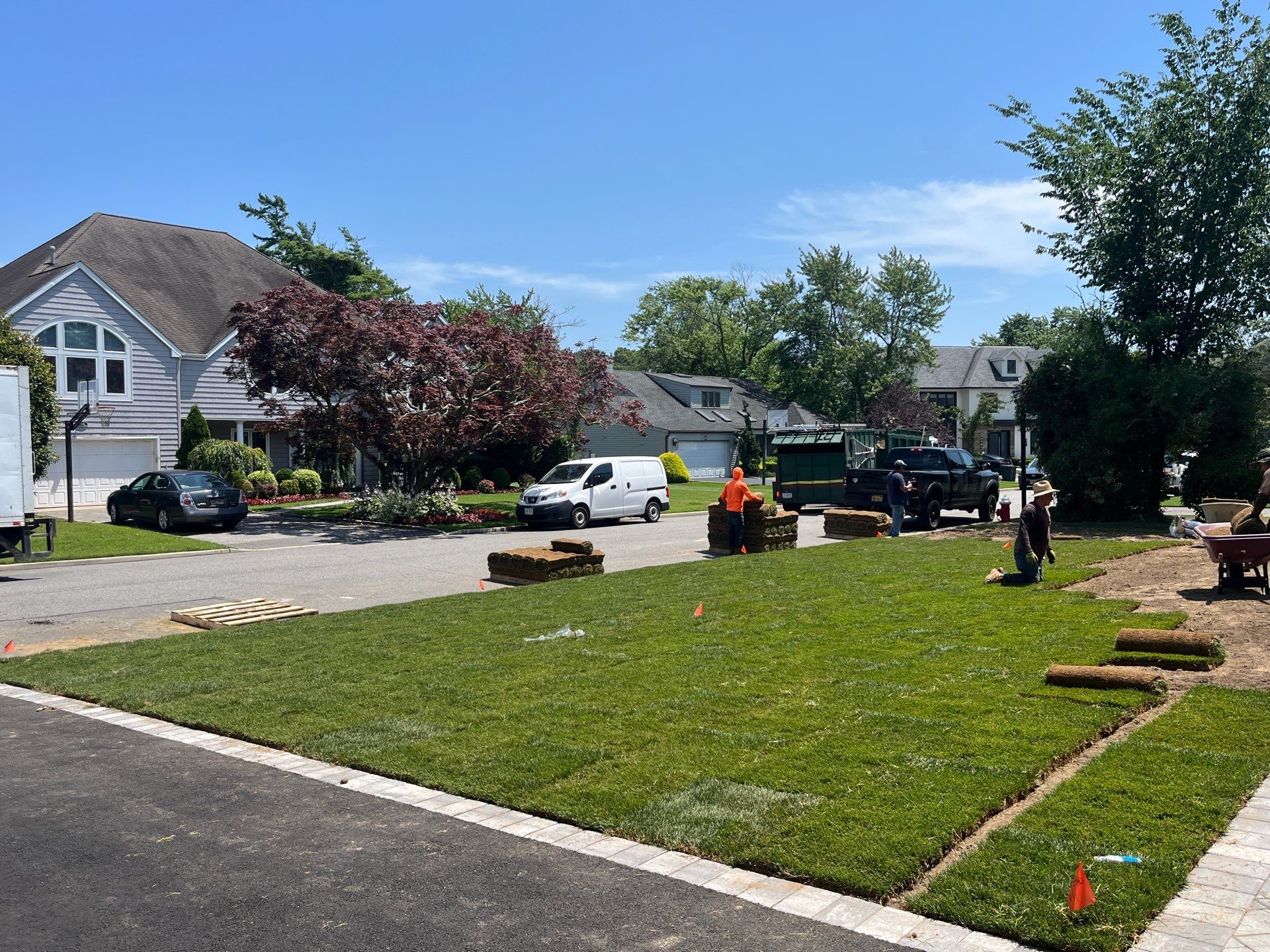 New Install by elegant Lawns