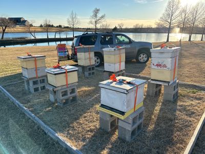 Another client in Heath using bees for Ag. Exemption