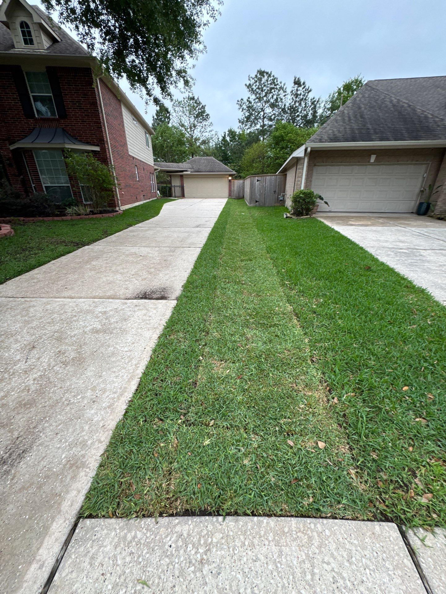 🌿 Mrs. Coleman’s Lawn & Drainage Restoration by Texas Urban Elements
