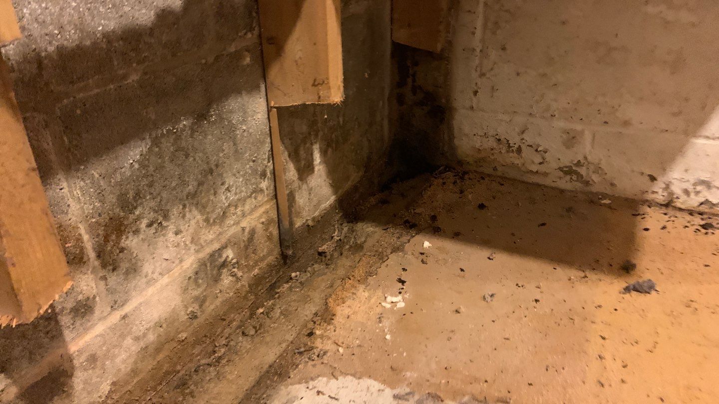 Retrofitting Drainage Board to Relieve the Pressure! by Waterproofing Northeast